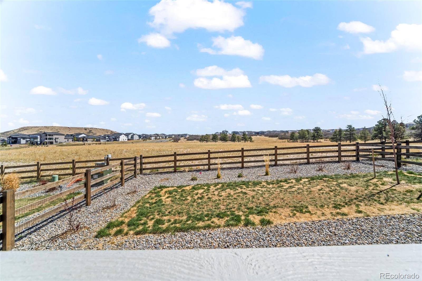 MLS Image #29 for 815  simmental loop,castle rock, Colorado