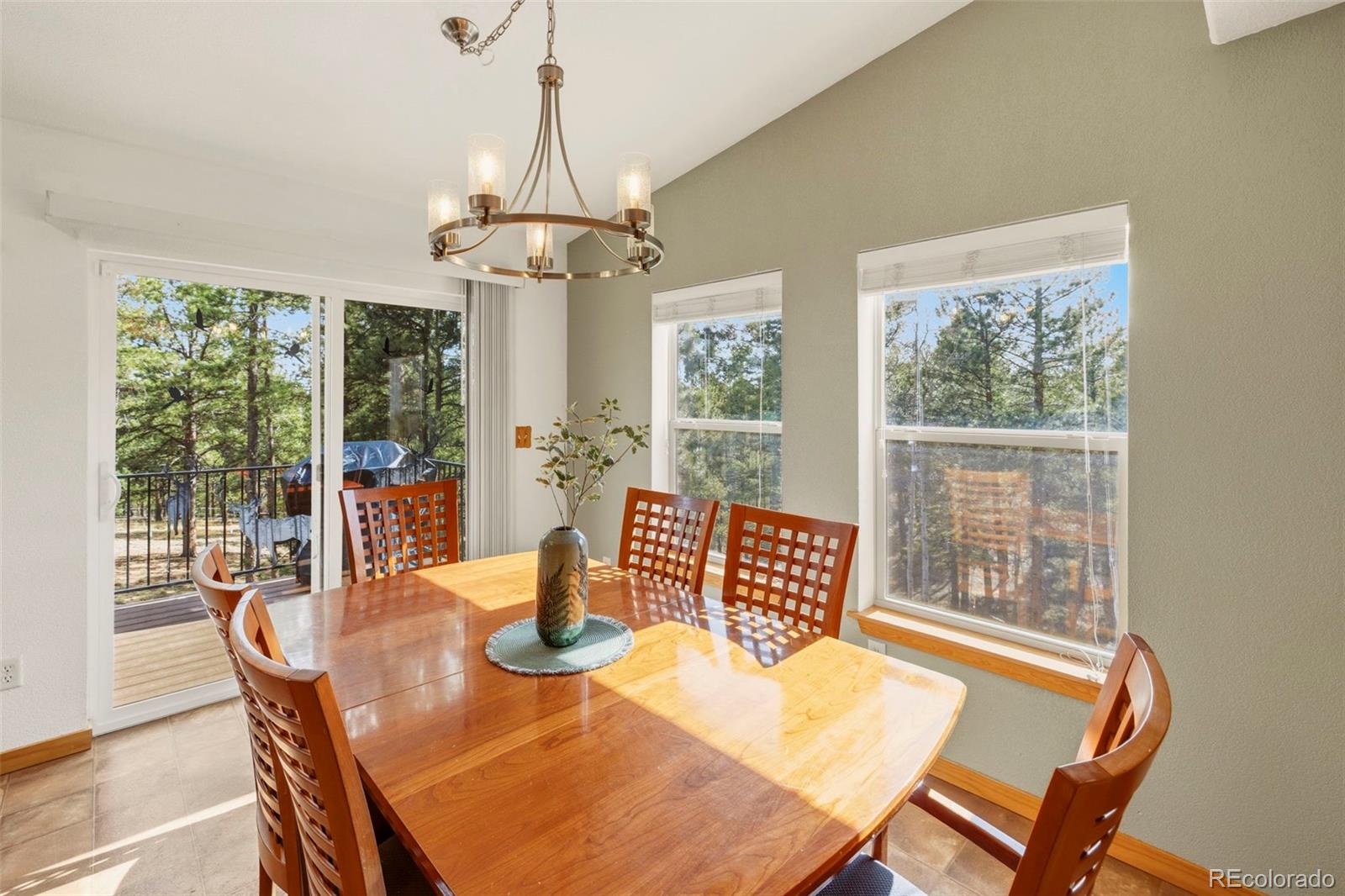 MLS Image #11 for 738  rangeview road,divide, Colorado