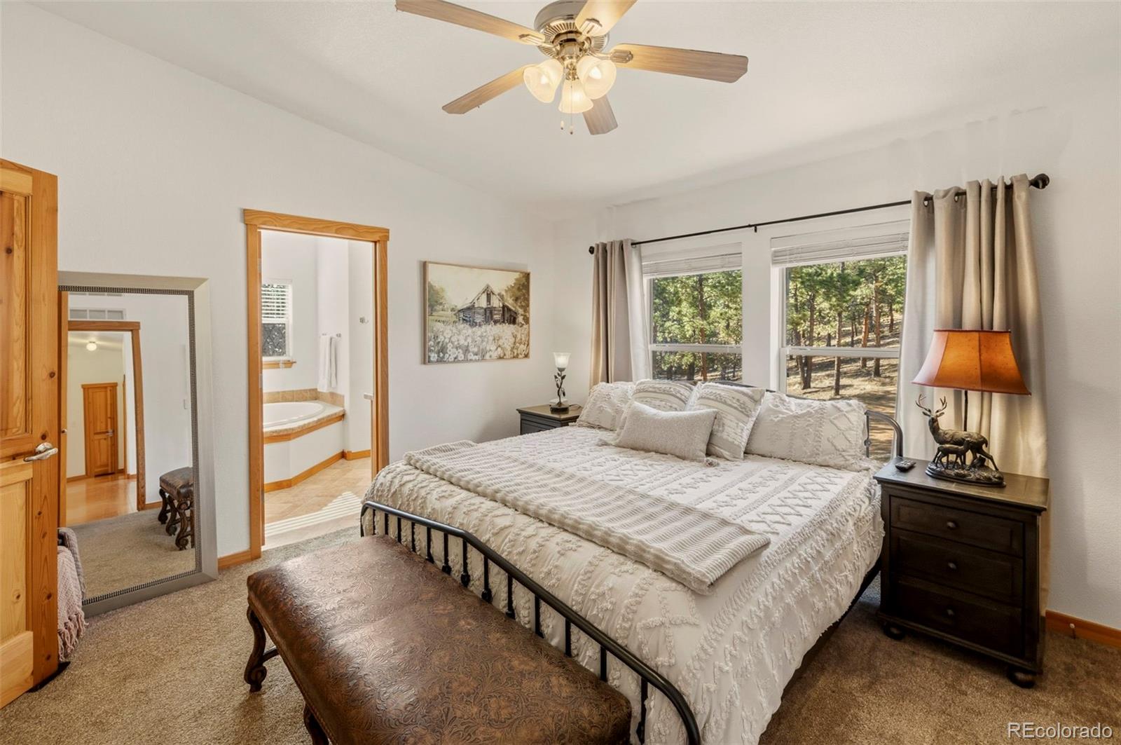 MLS Image #12 for 738  rangeview road,divide, Colorado