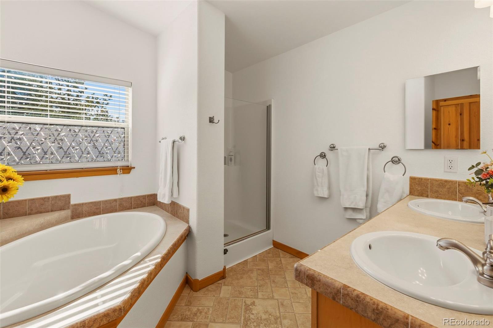 MLS Image #15 for 738  rangeview road,divide, Colorado