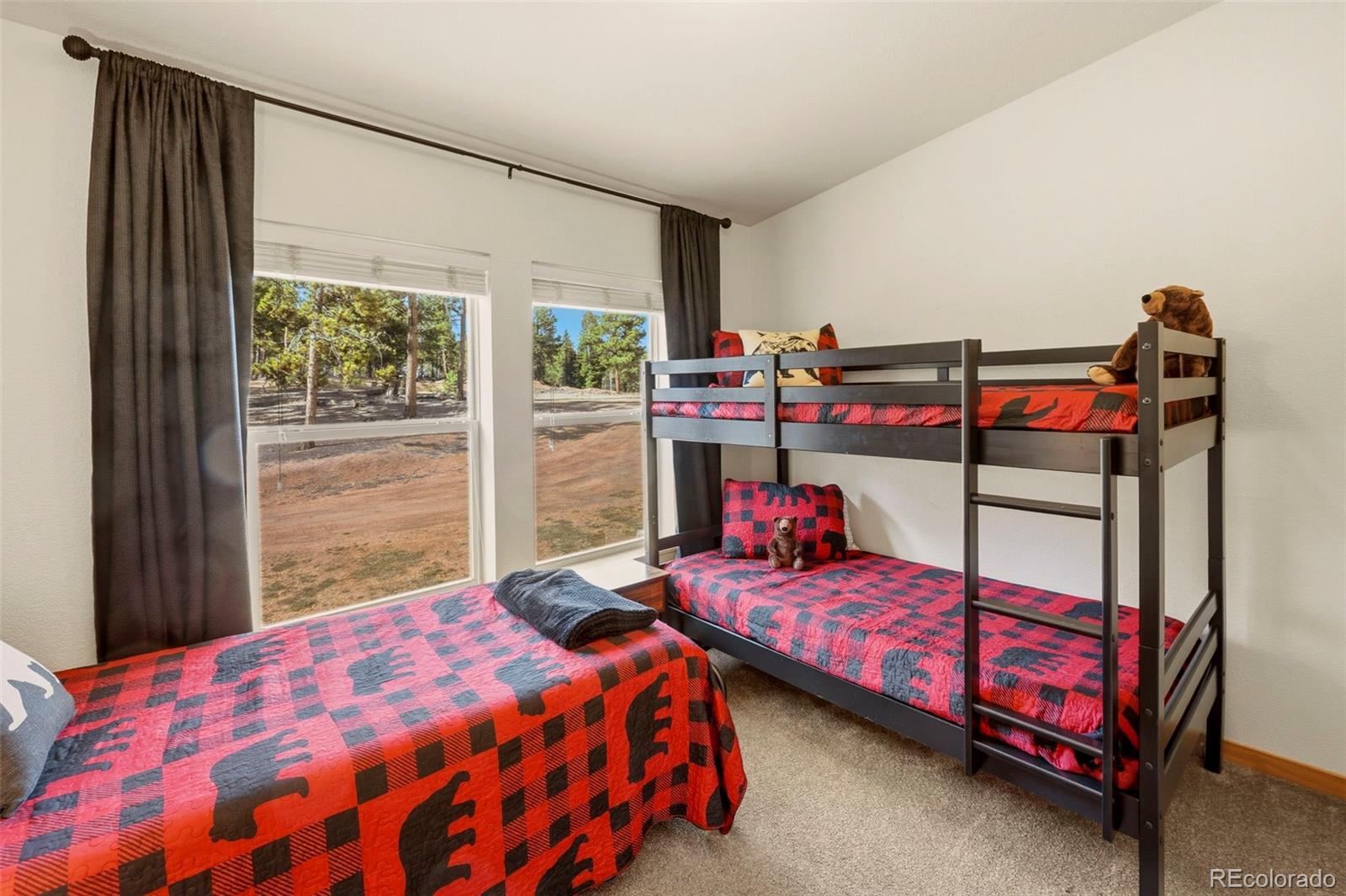 MLS Image #19 for 738  rangeview road,divide, Colorado
