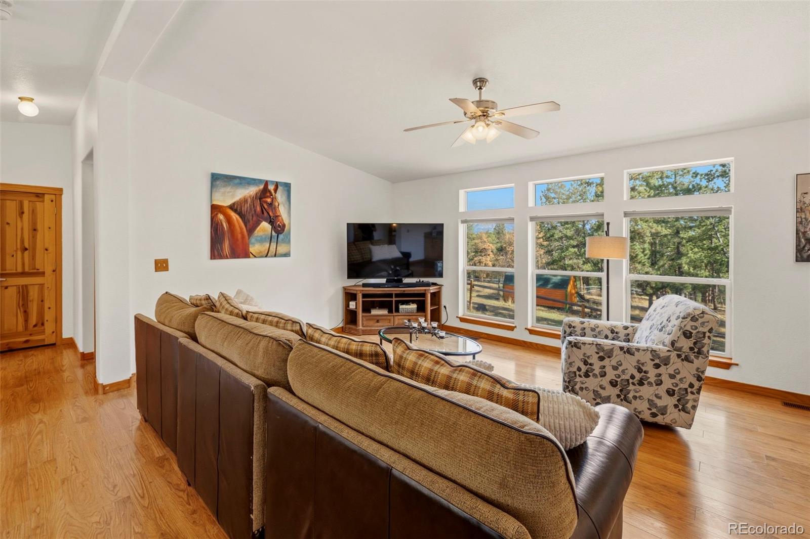 MLS Image #2 for 738  rangeview road,divide, Colorado