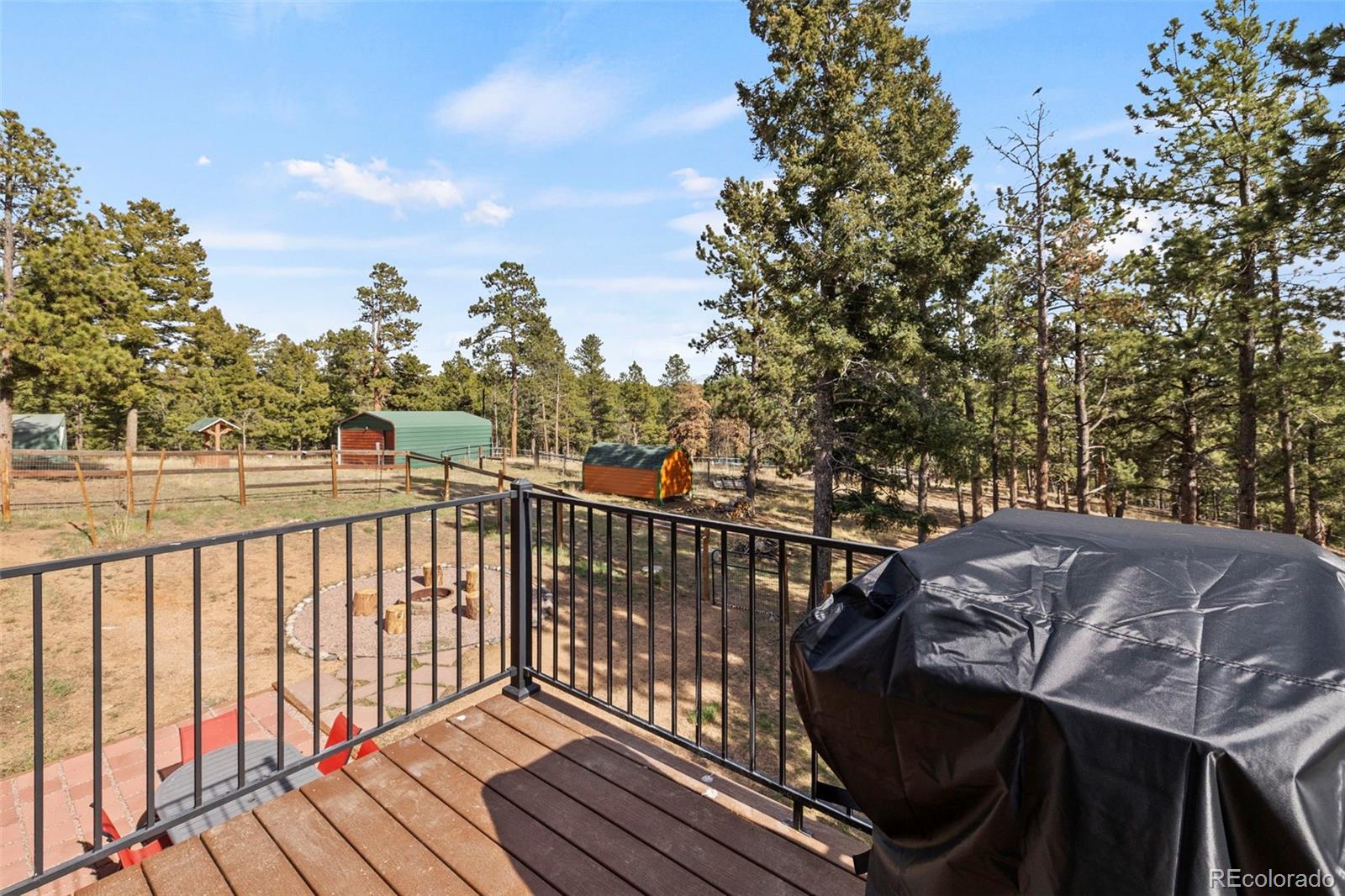 MLS Image #28 for 738  rangeview road,divide, Colorado