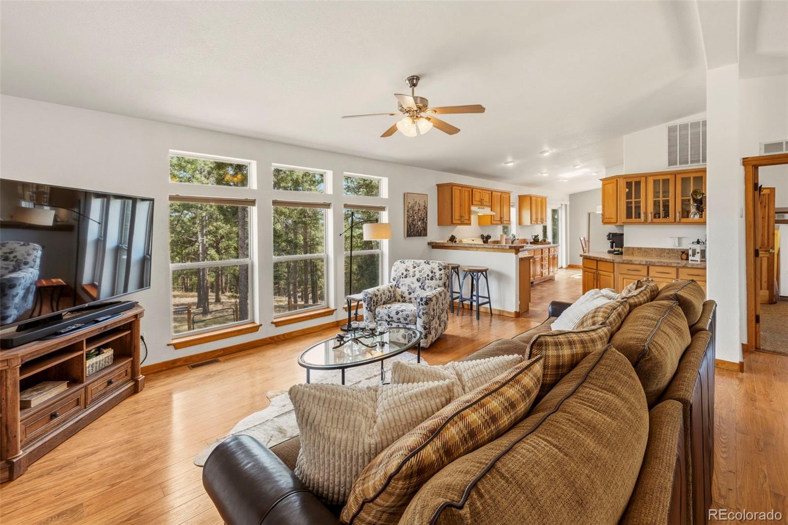 MLS Image #3 for 738  rangeview road,divide, Colorado