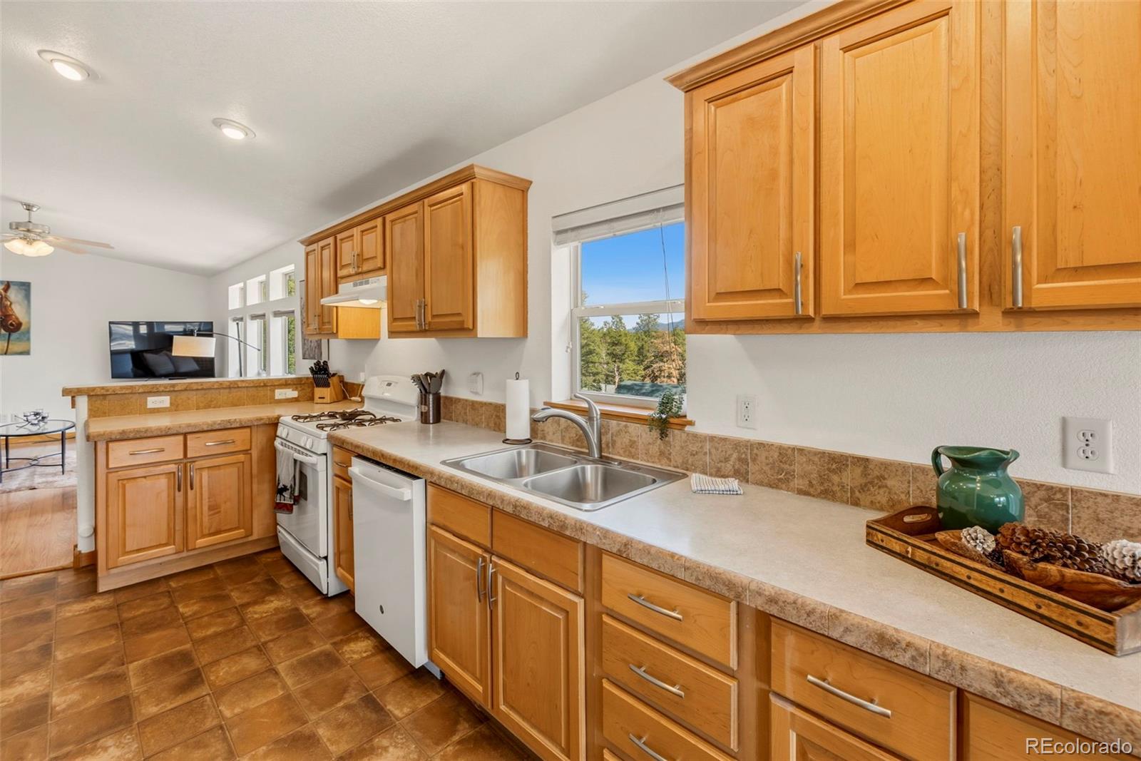 MLS Image #8 for 738  rangeview road,divide, Colorado