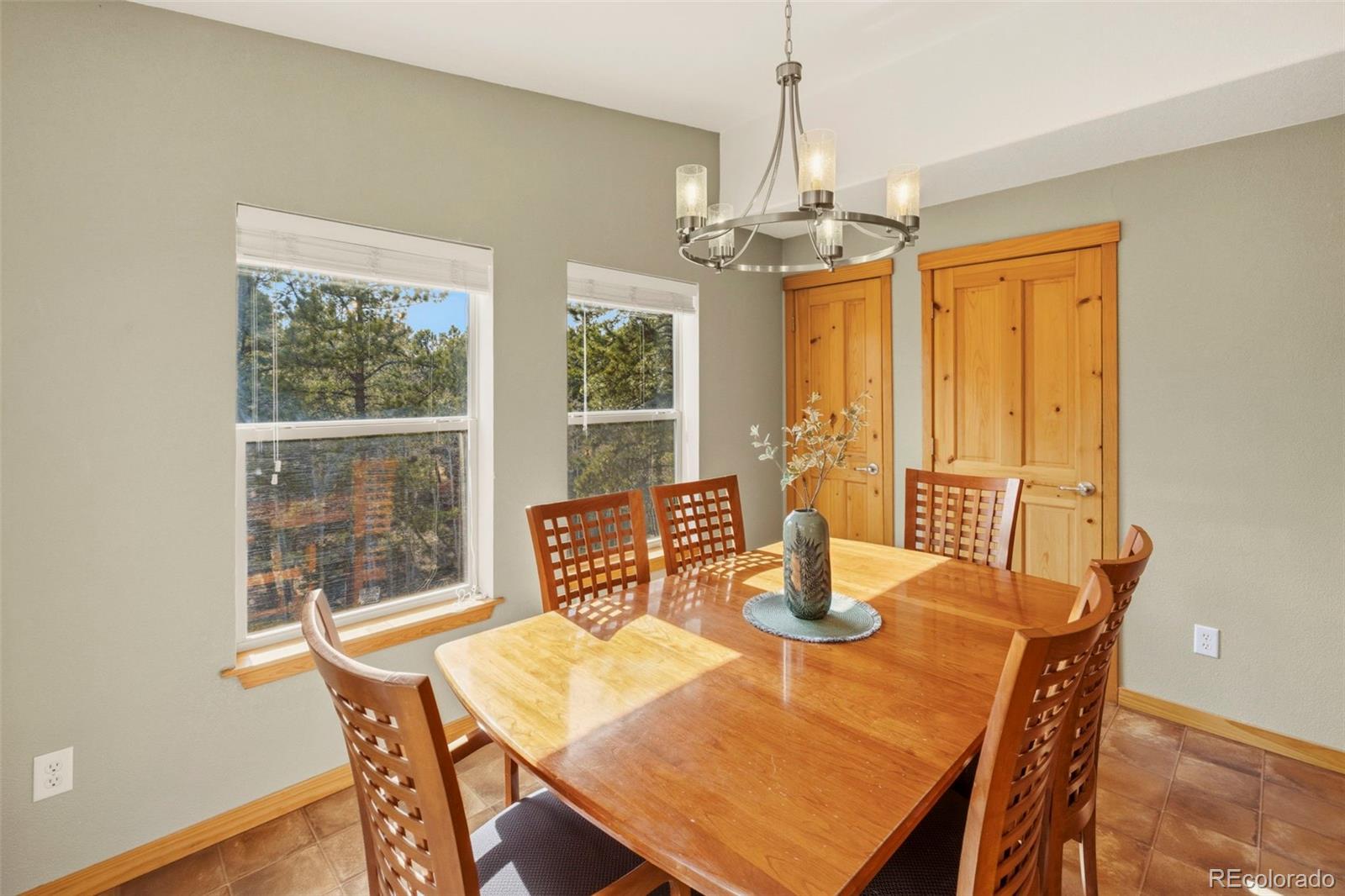 MLS Image #9 for 738  rangeview road,divide, Colorado