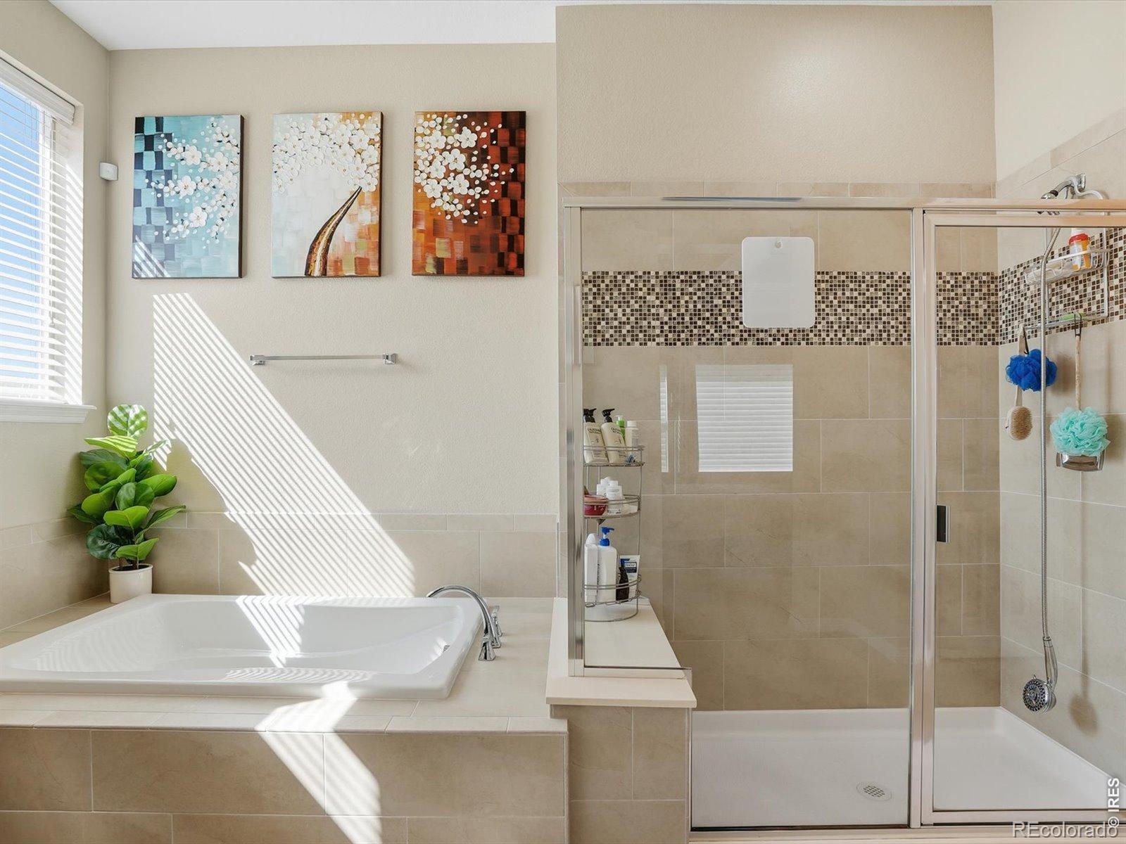 MLS Image #20 for 16058  humboldt peak drive,broomfield, Colorado