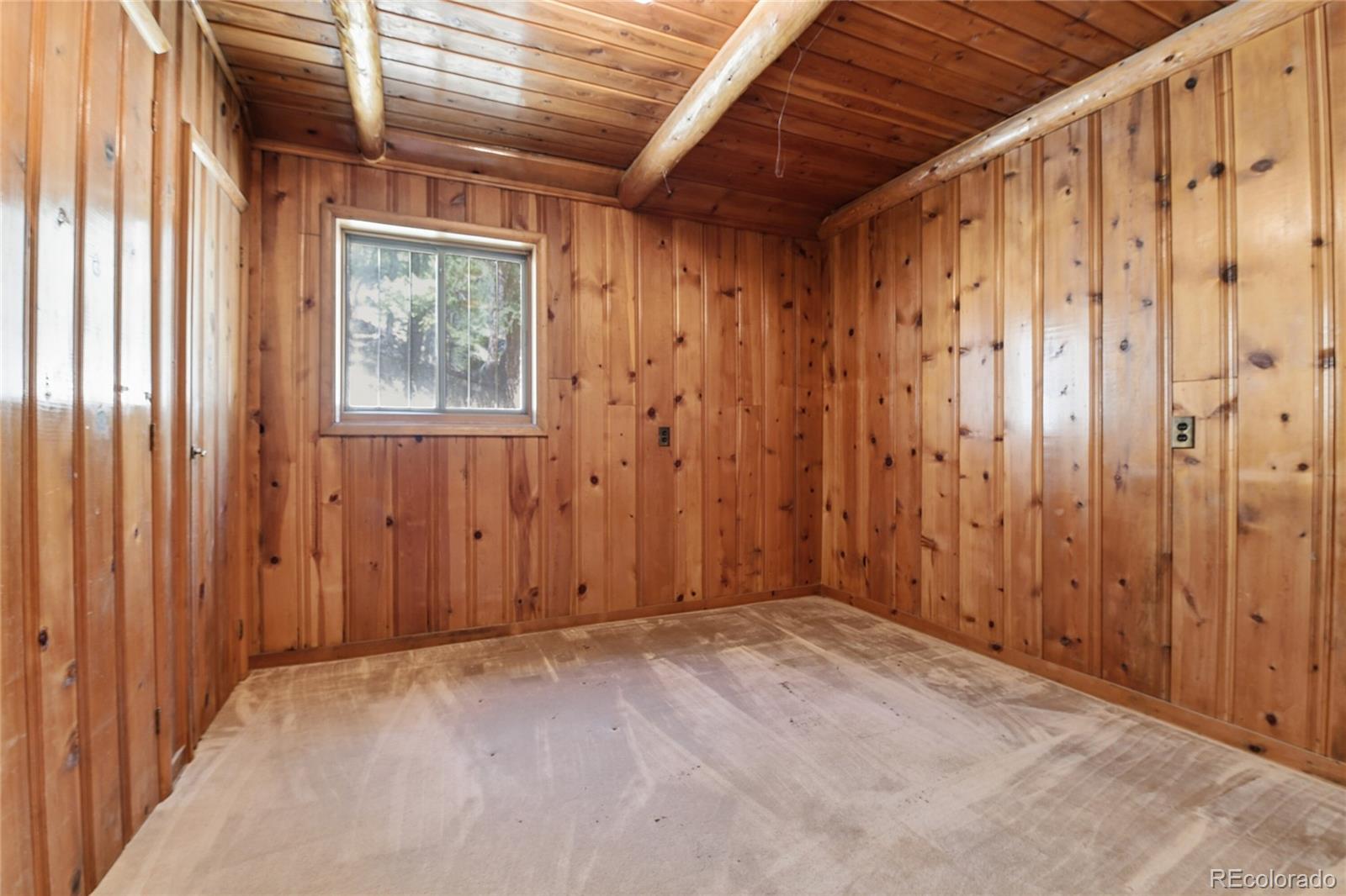 MLS Image #19 for 33601  stransky road,evergreen, Colorado