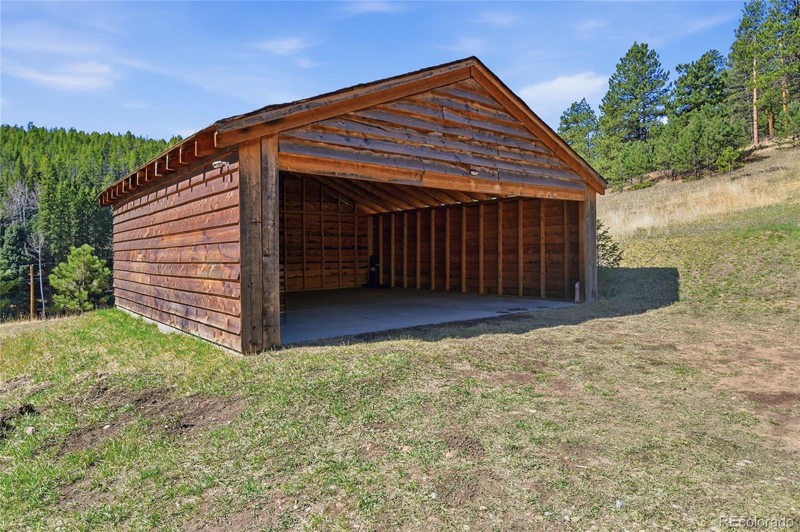 MLS Image #3 for 33601  stransky road,evergreen, Colorado