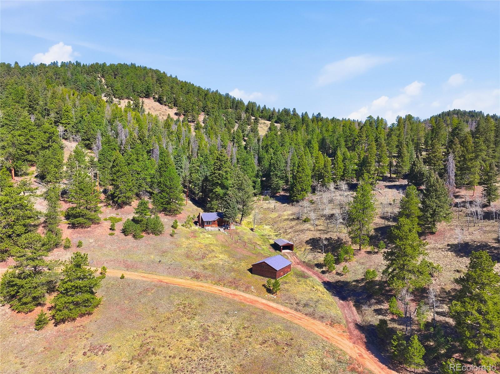 MLS Image #31 for 33601  stransky road,evergreen, Colorado