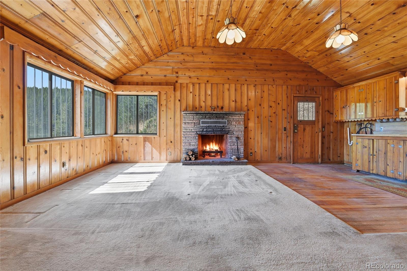 MLS Image #6 for 33601  stransky road,evergreen, Colorado