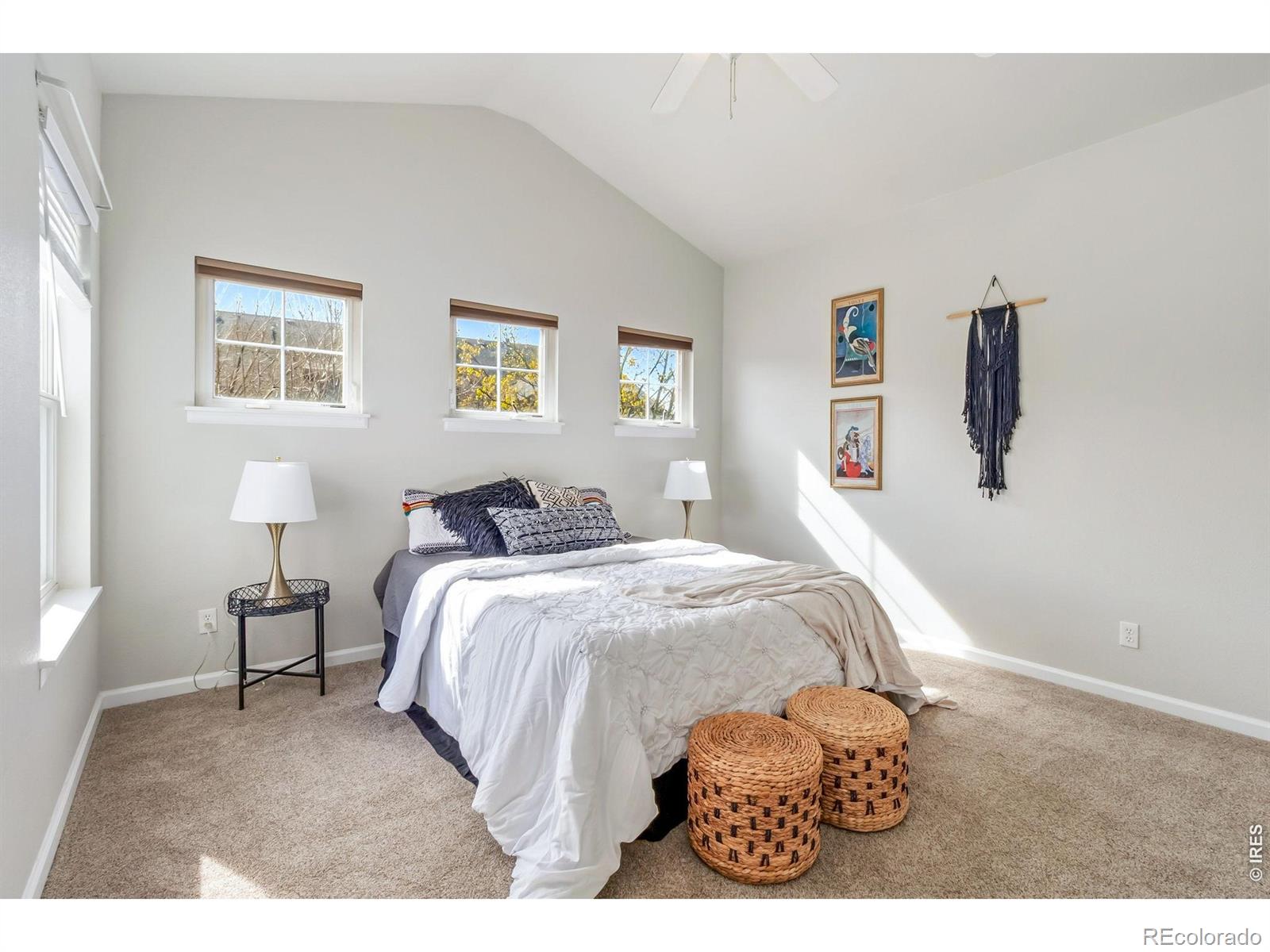 MLS Image #15 for 2178  cape hatteras drive,windsor, Colorado