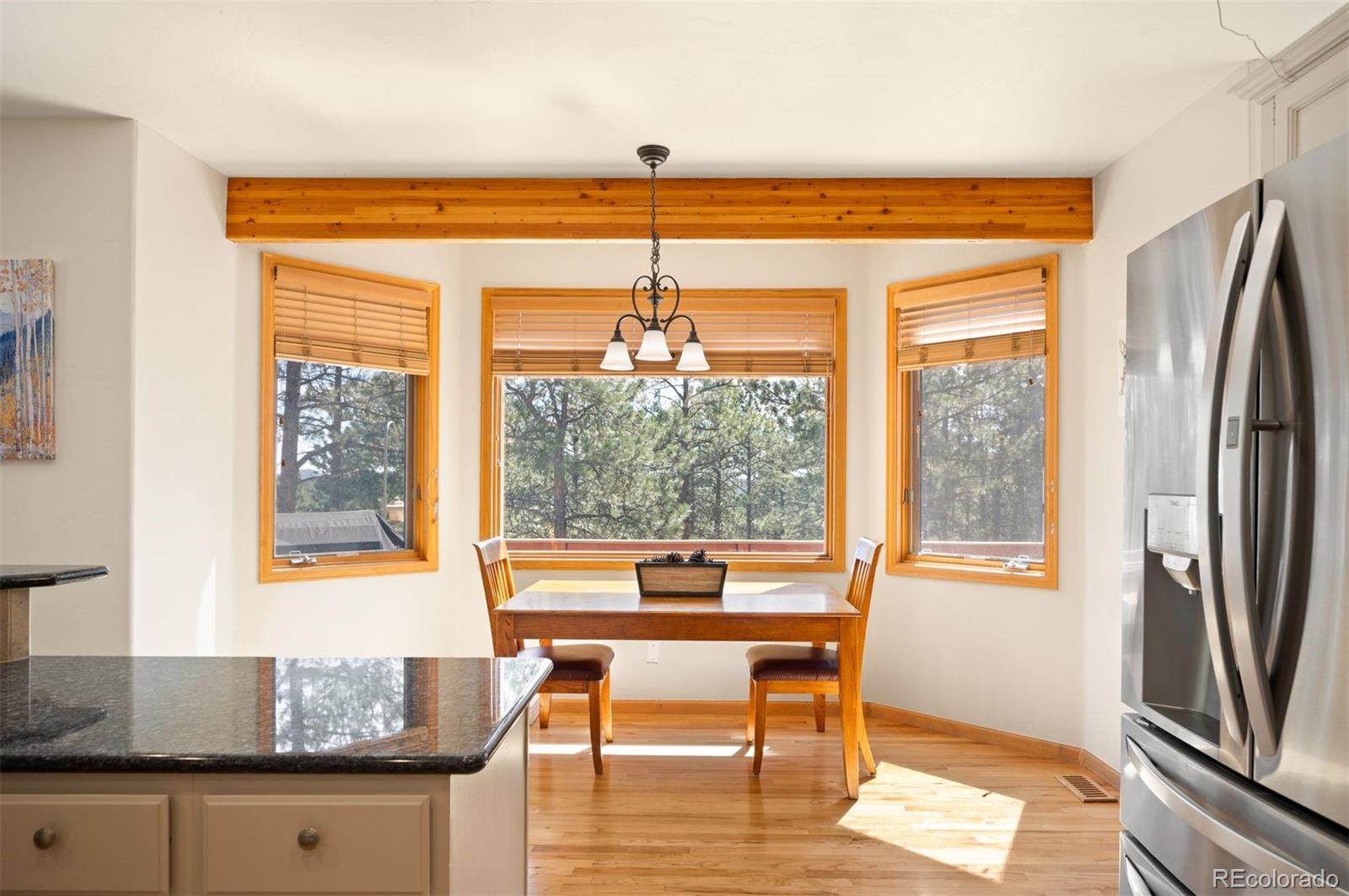 MLS Image #14 for 29517  gleneden lane,evergreen, Colorado