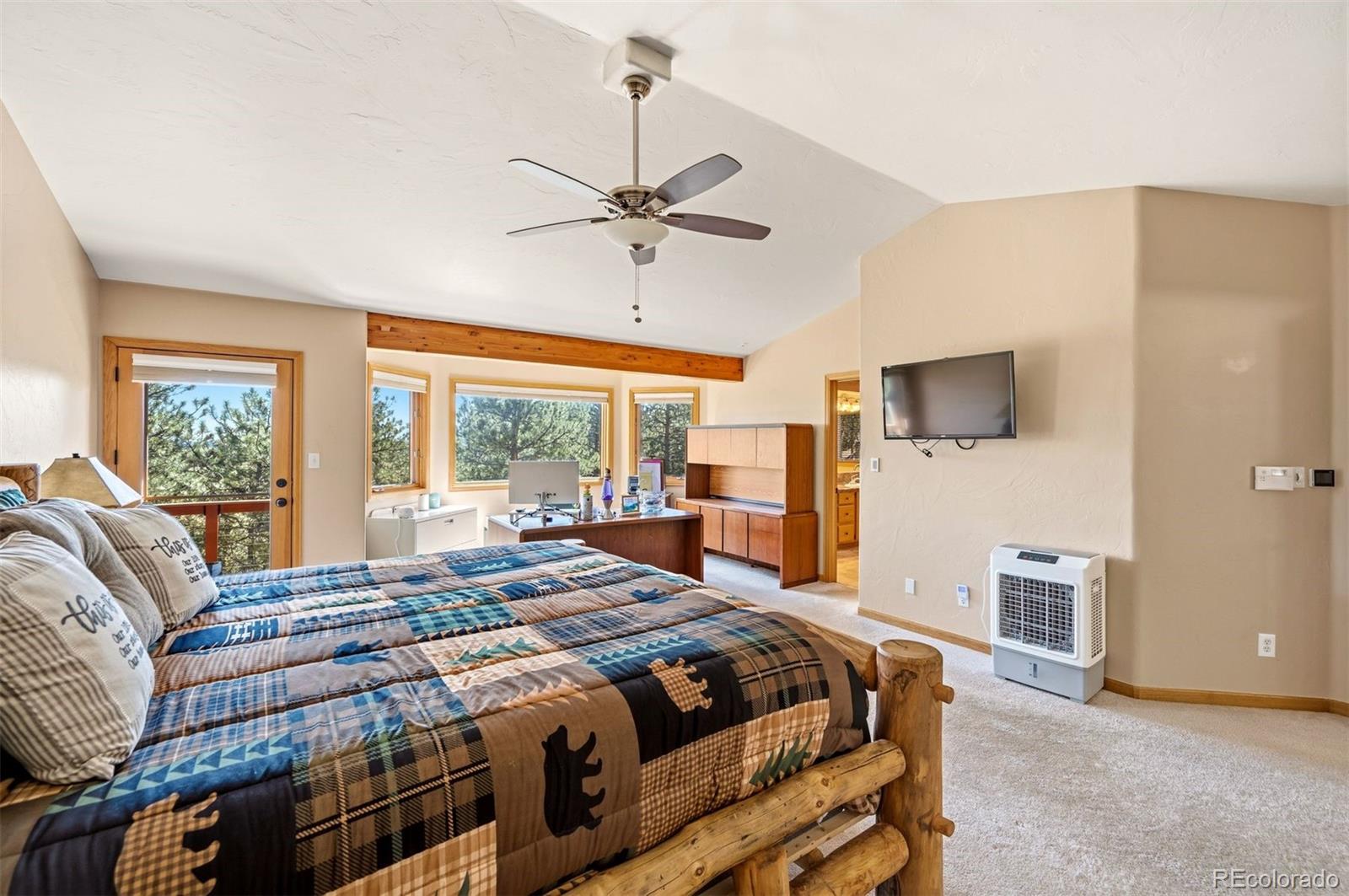 MLS Image #18 for 29517  gleneden lane,evergreen, Colorado