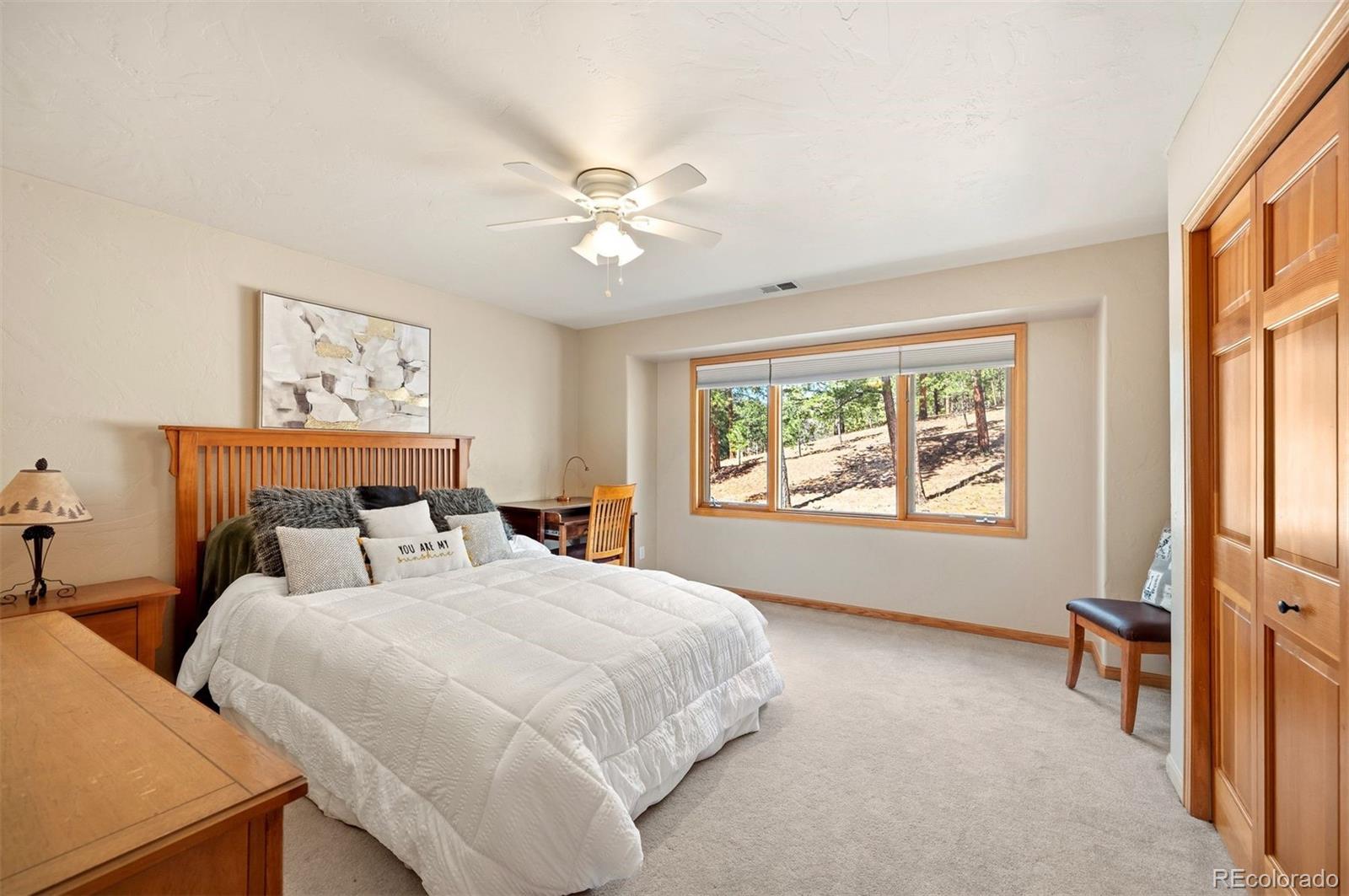 MLS Image #25 for 29517  gleneden lane,evergreen, Colorado