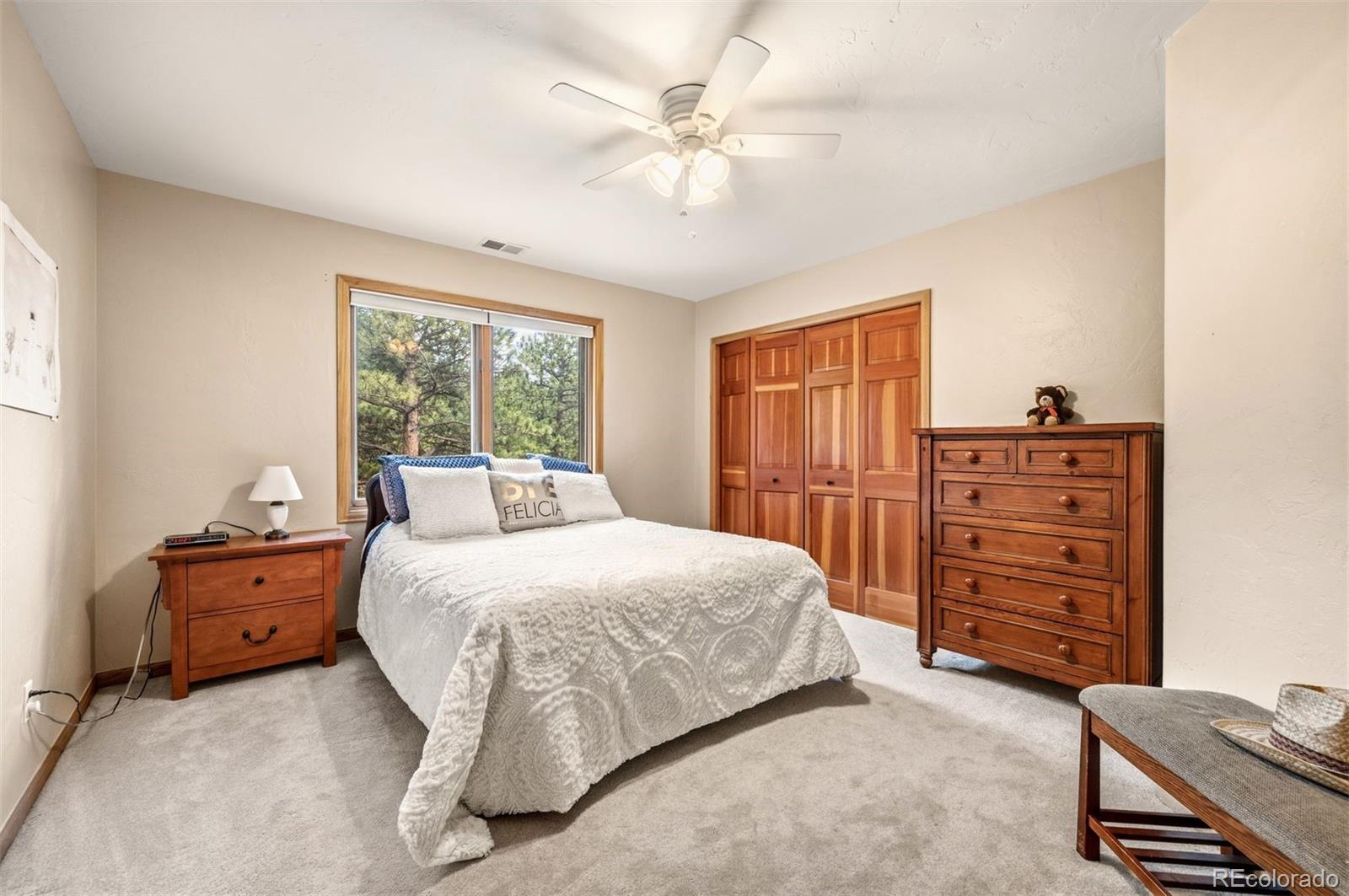 MLS Image #27 for 29517  gleneden lane,evergreen, Colorado