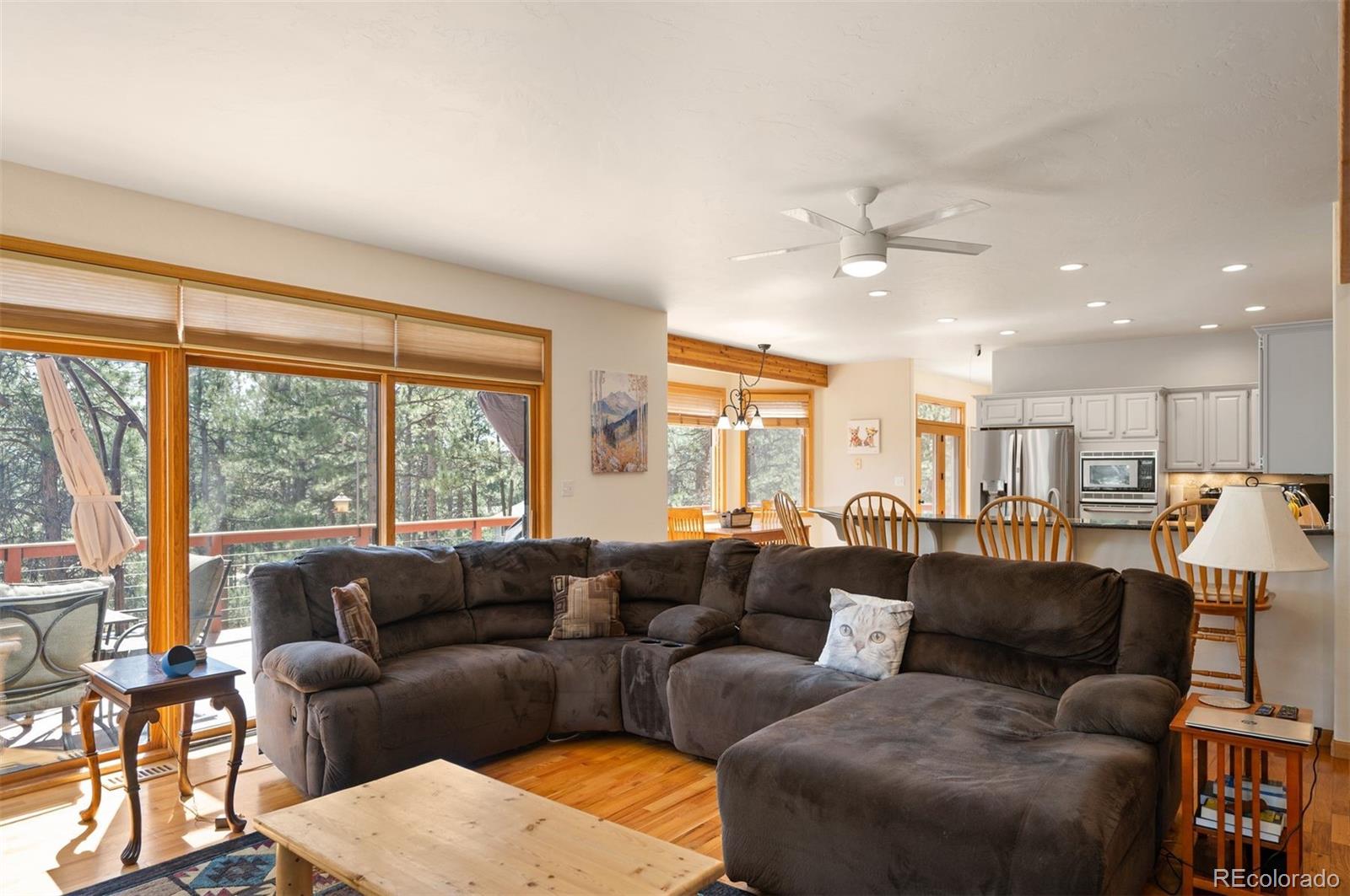 MLS Image #9 for 29517  gleneden lane,evergreen, Colorado