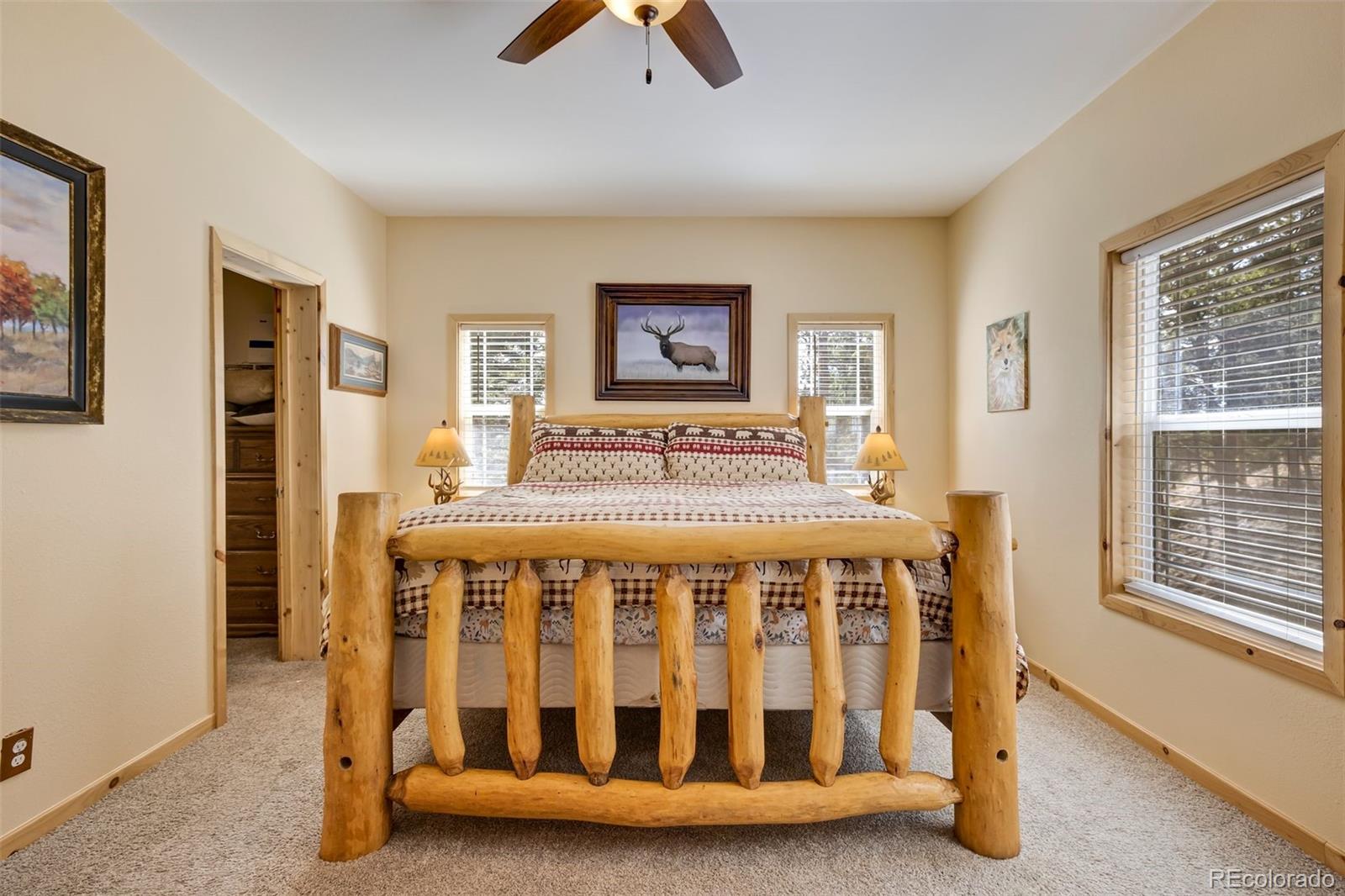 MLS Image #29 for 858  fossil creek road,florissant, Colorado