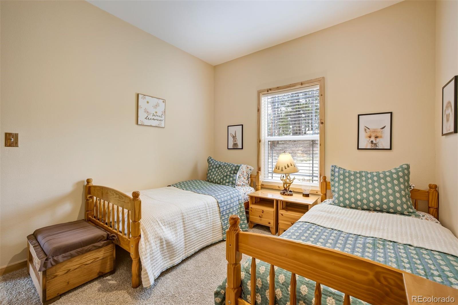 MLS Image #36 for 858  fossil creek road,florissant, Colorado