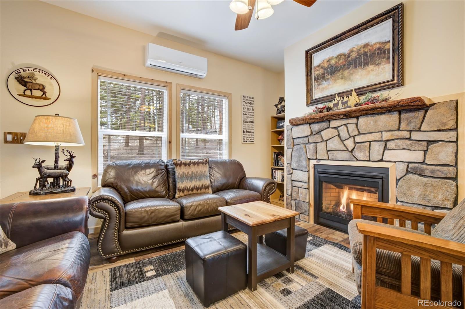 MLS Image #4 for 858  fossil creek road,florissant, Colorado