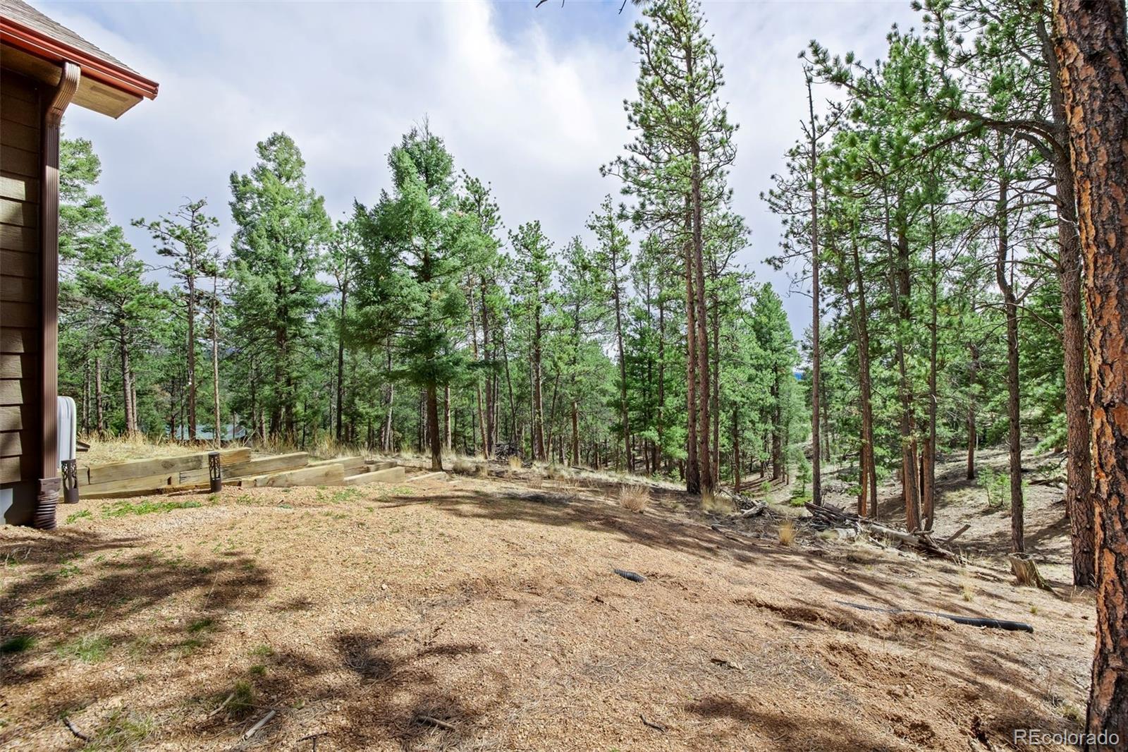 MLS Image #40 for 858  fossil creek road,florissant, Colorado
