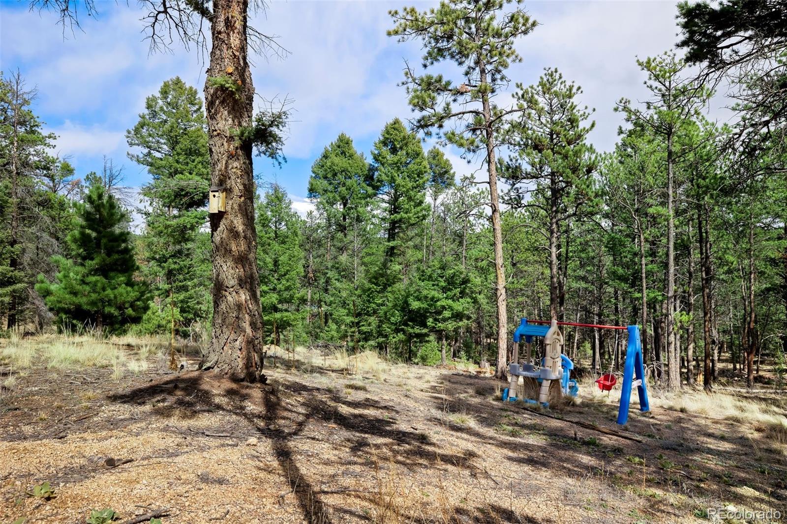 MLS Image #42 for 858  fossil creek road,florissant, Colorado