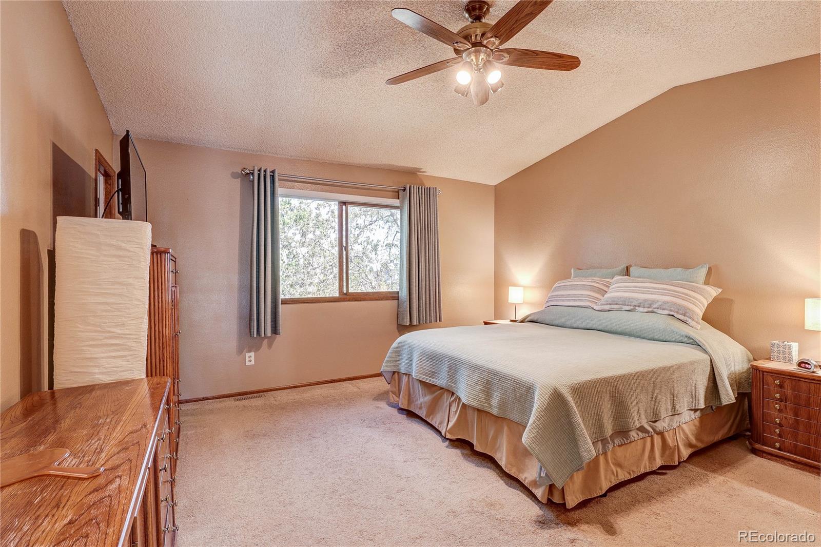 MLS Image #17 for 5723 s killarney way,centennial, Colorado