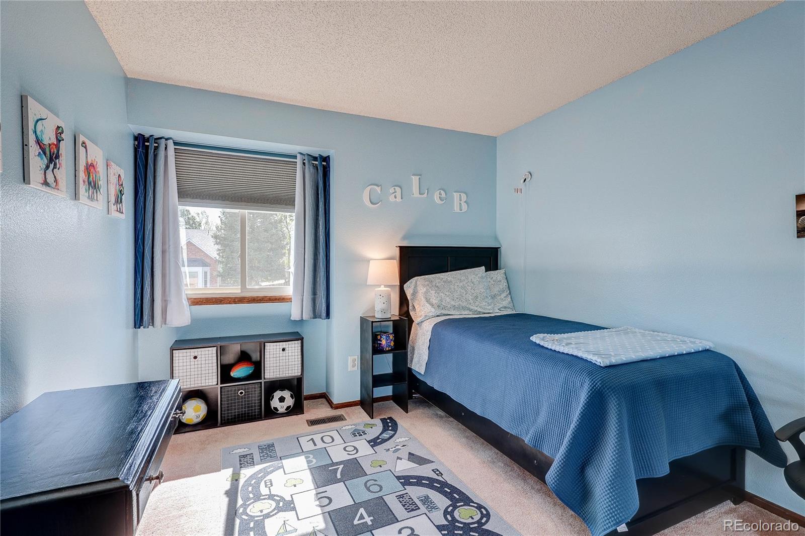MLS Image #23 for 5723 s killarney way,centennial, Colorado