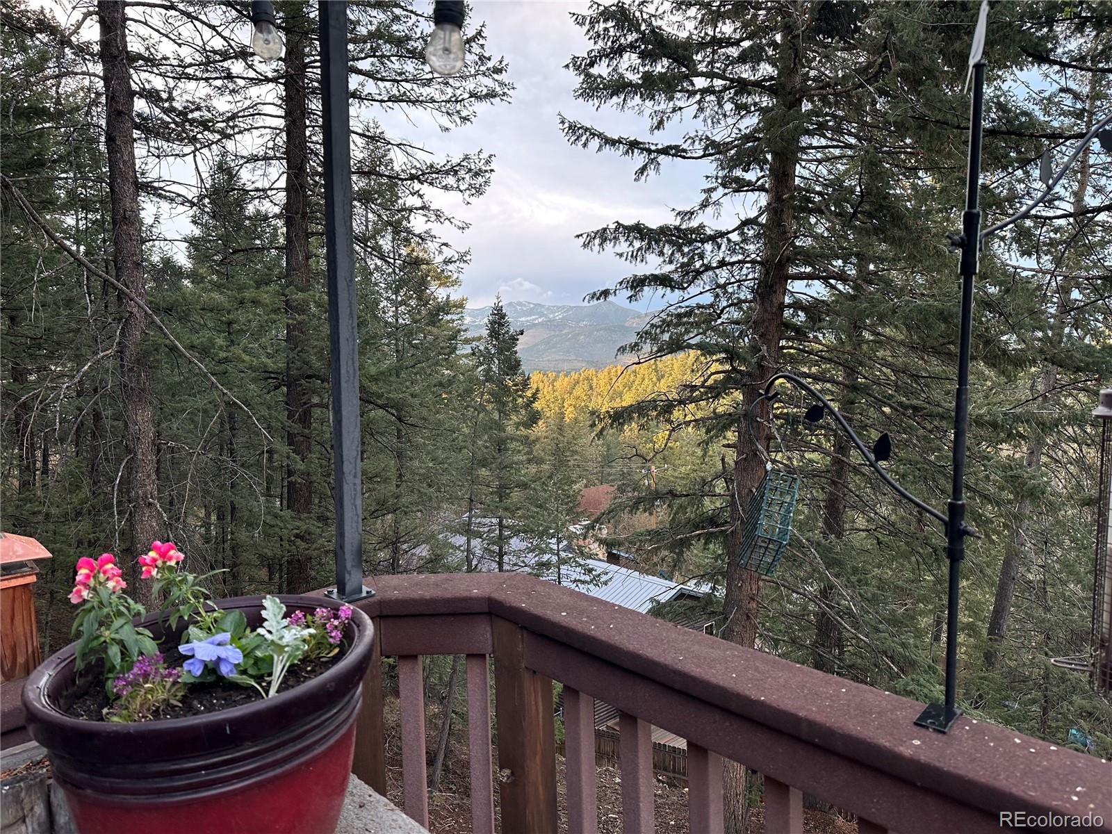 MLS Image #2 for 30282  pine crest drive,evergreen, Colorado