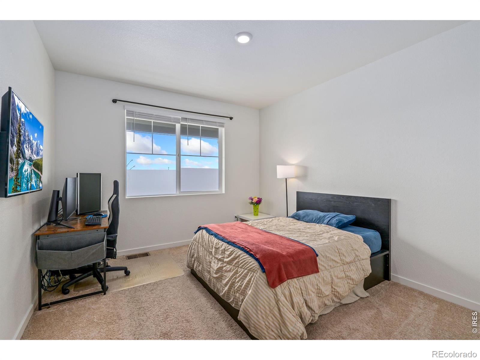 MLS Image #18 for 928  london way,severance, Colorado