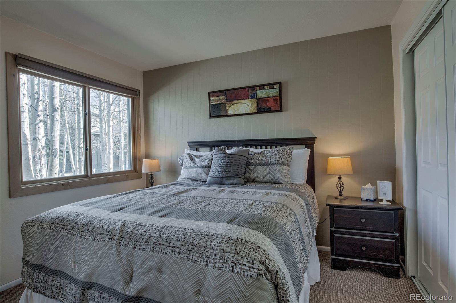 MLS Image #5 for 1937  soda ridge road,dillon, Colorado