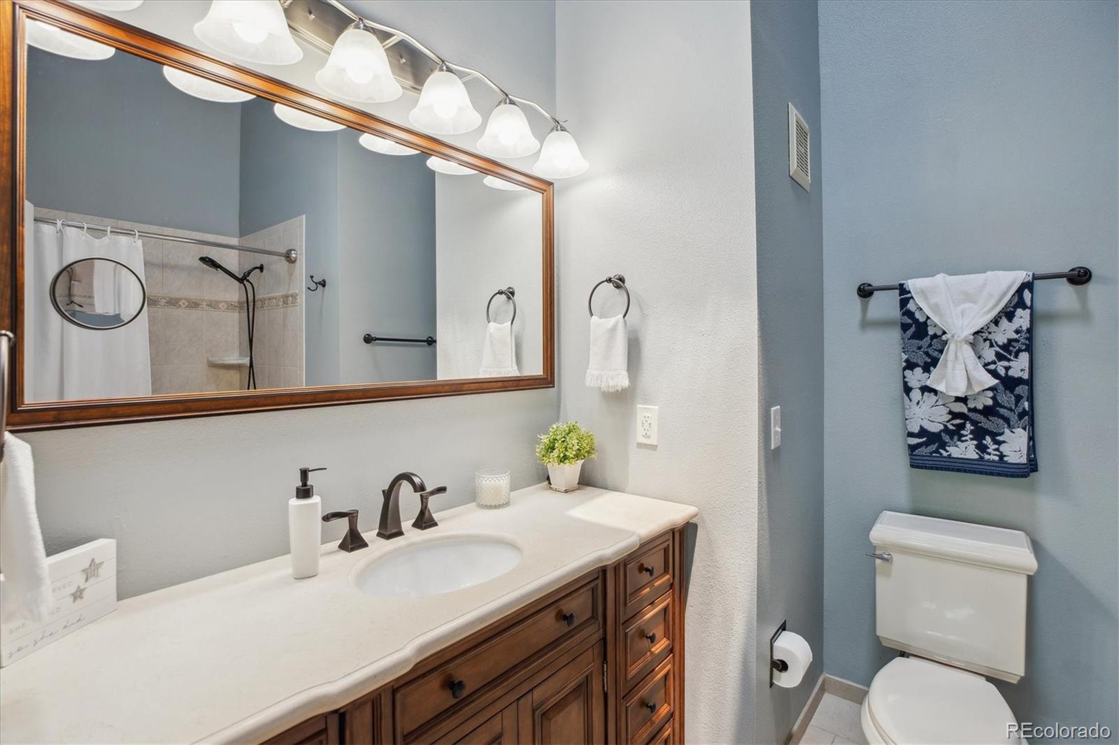 MLS Image #12 for 7589 s cove circle ,centennial, Colorado