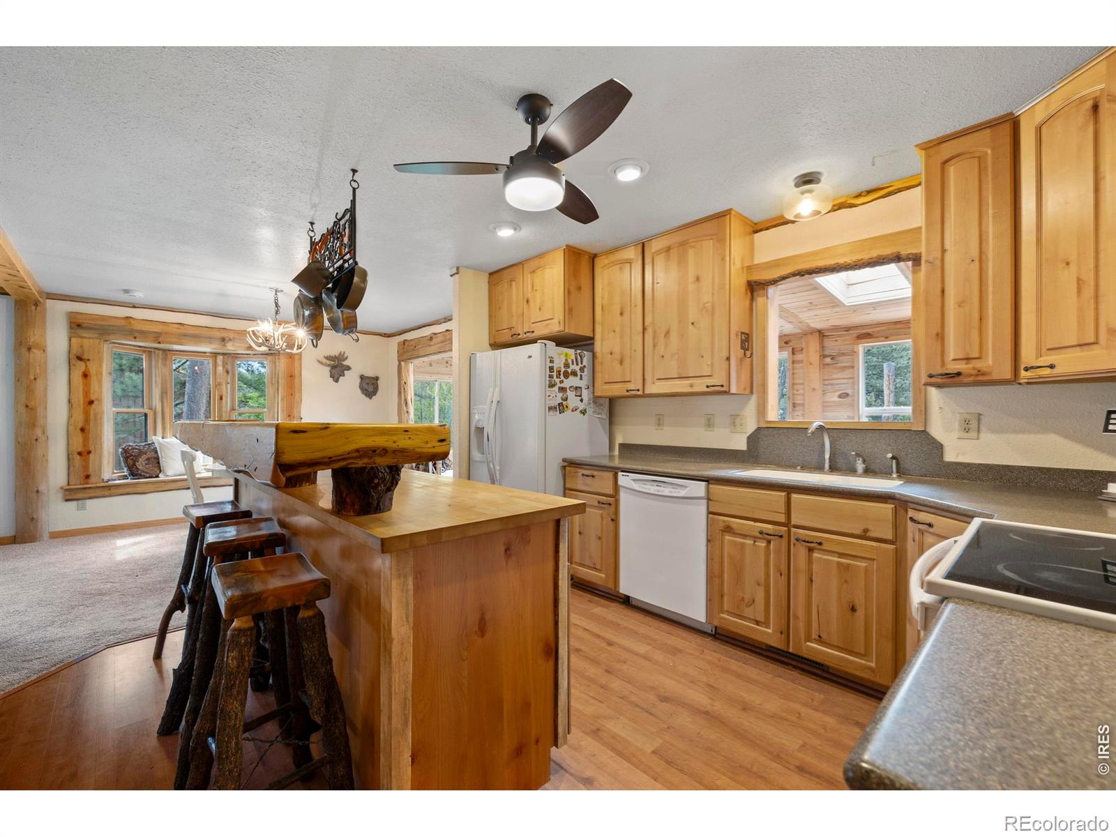 MLS Image #12 for 428  rustic road,bellvue, Colorado