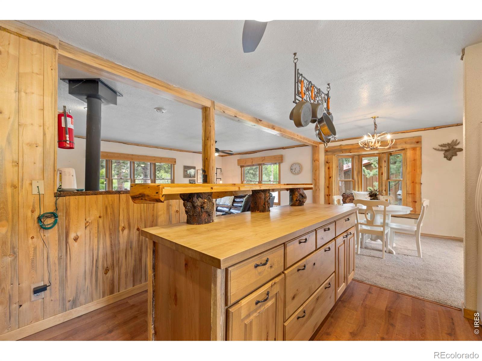MLS Image #13 for 428  rustic road,bellvue, Colorado