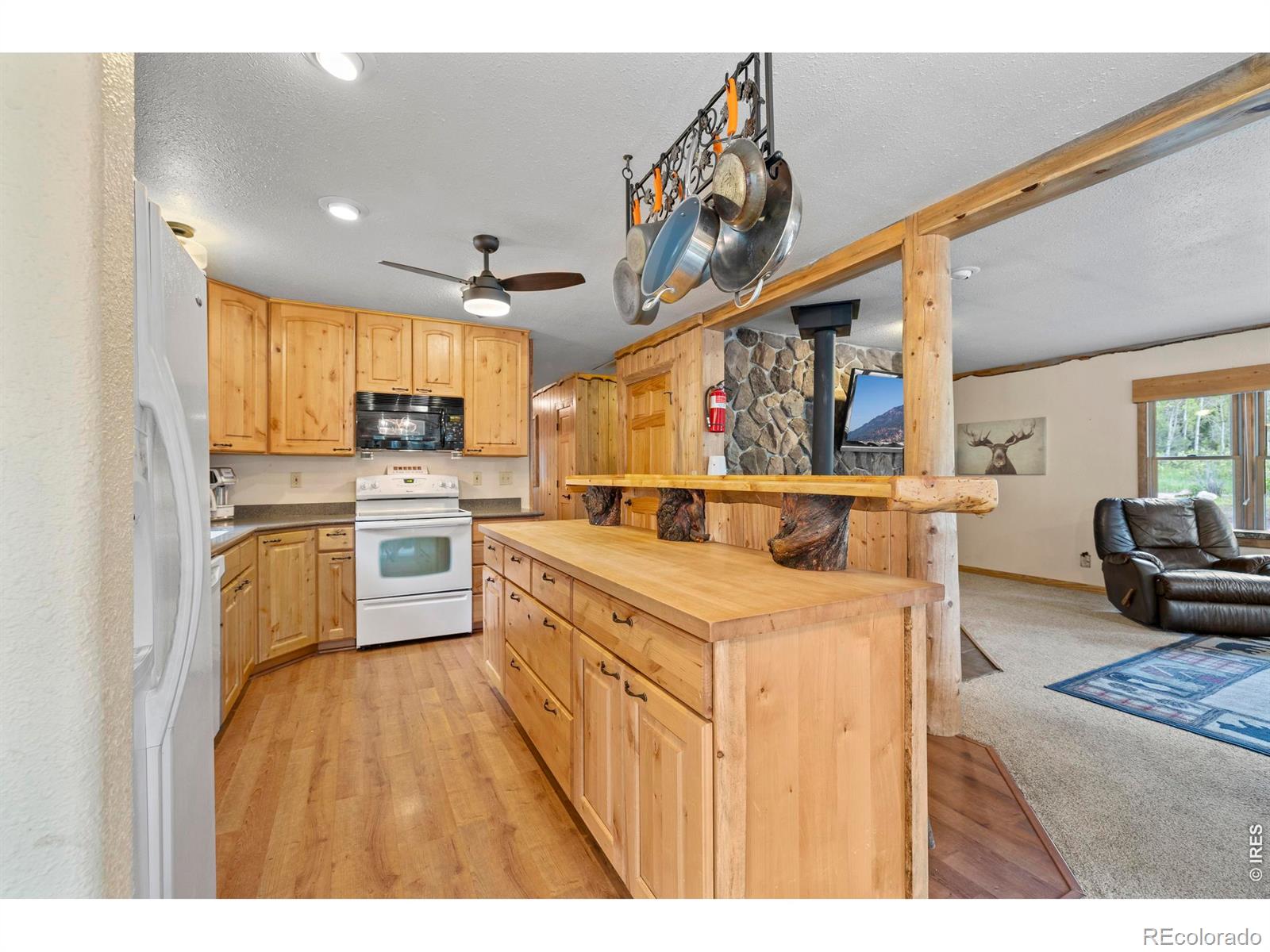 MLS Image #14 for 428  rustic road,bellvue, Colorado