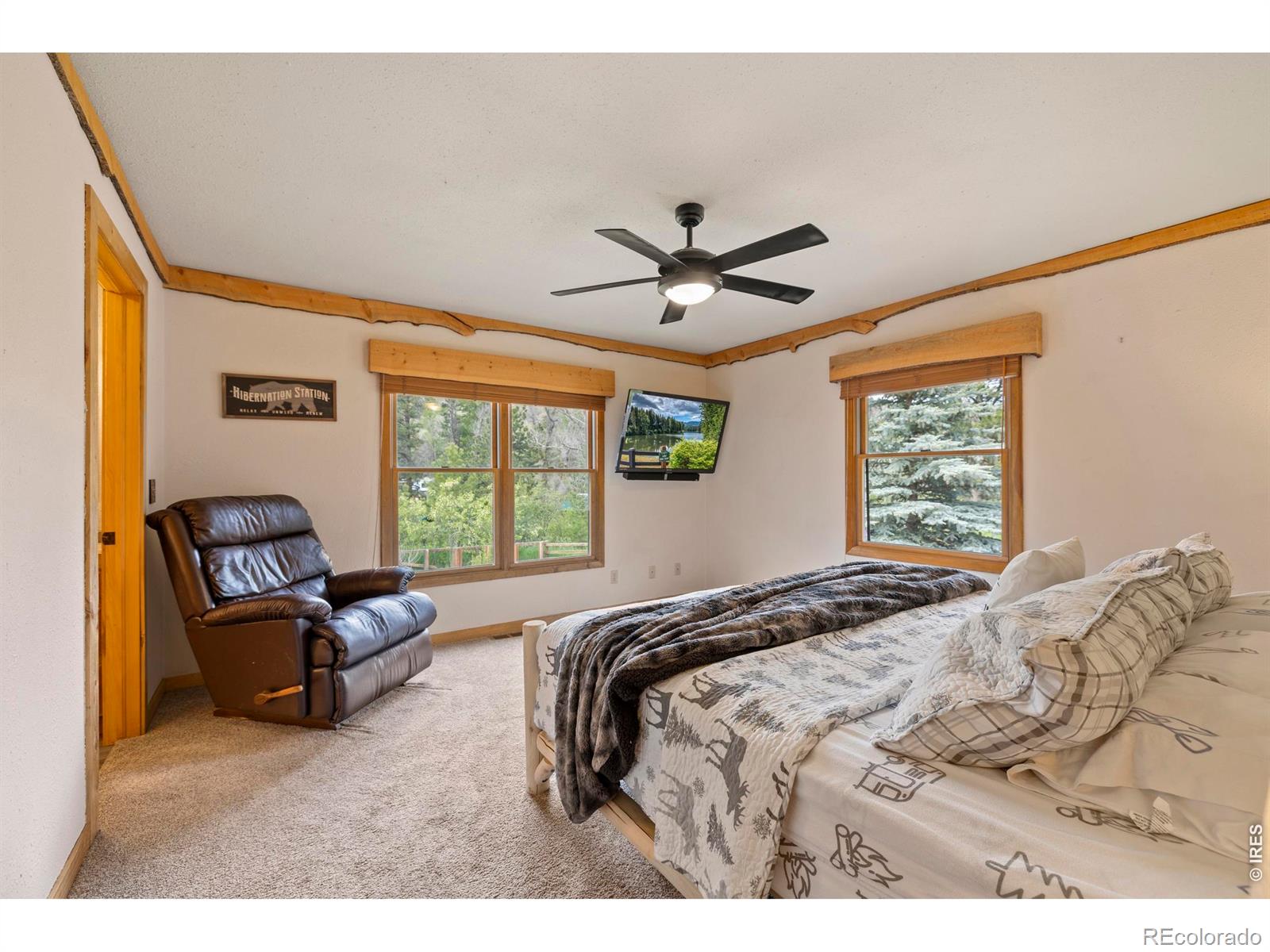MLS Image #17 for 428  rustic road,bellvue, Colorado