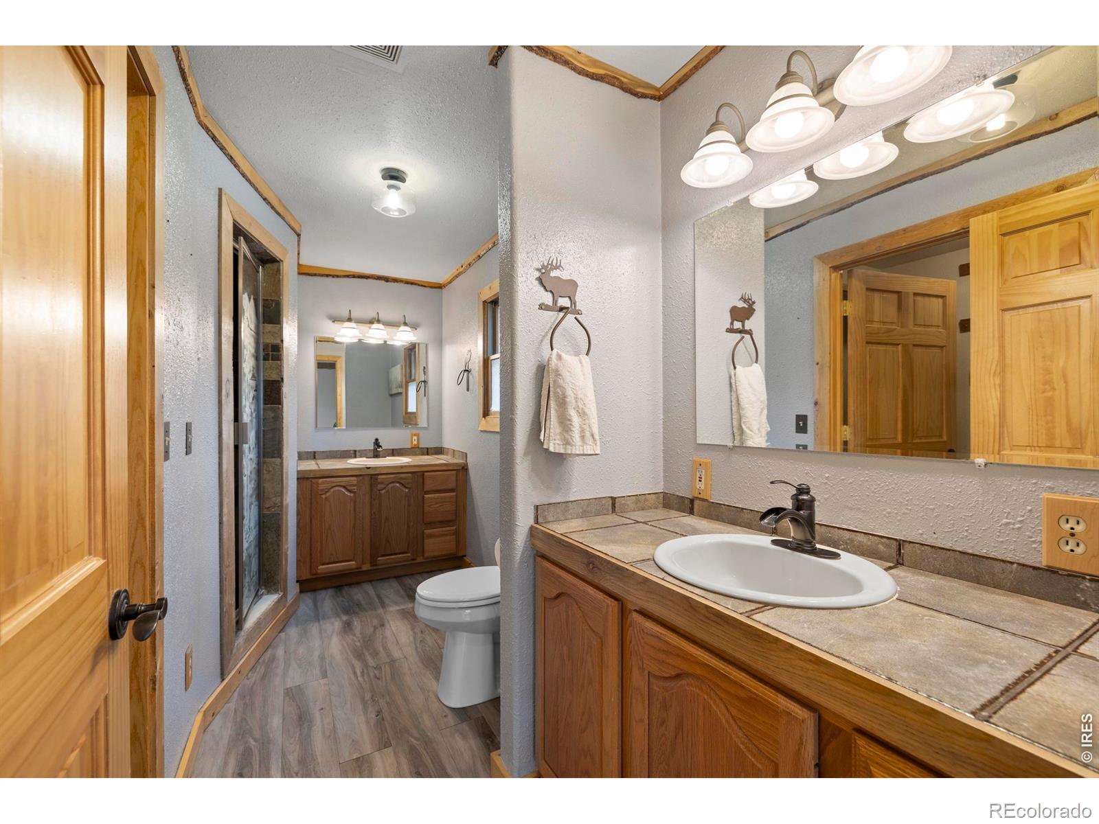 MLS Image #19 for 428  rustic road,bellvue, Colorado