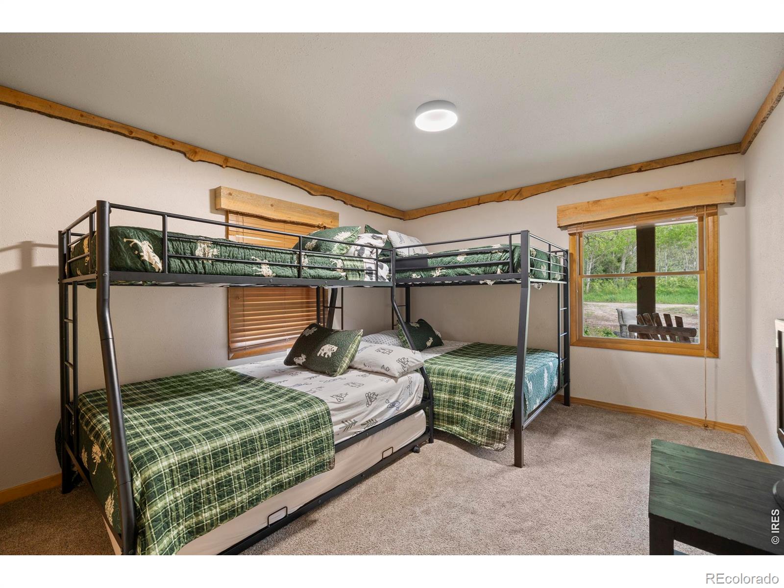 MLS Image #21 for 428  rustic road,bellvue, Colorado