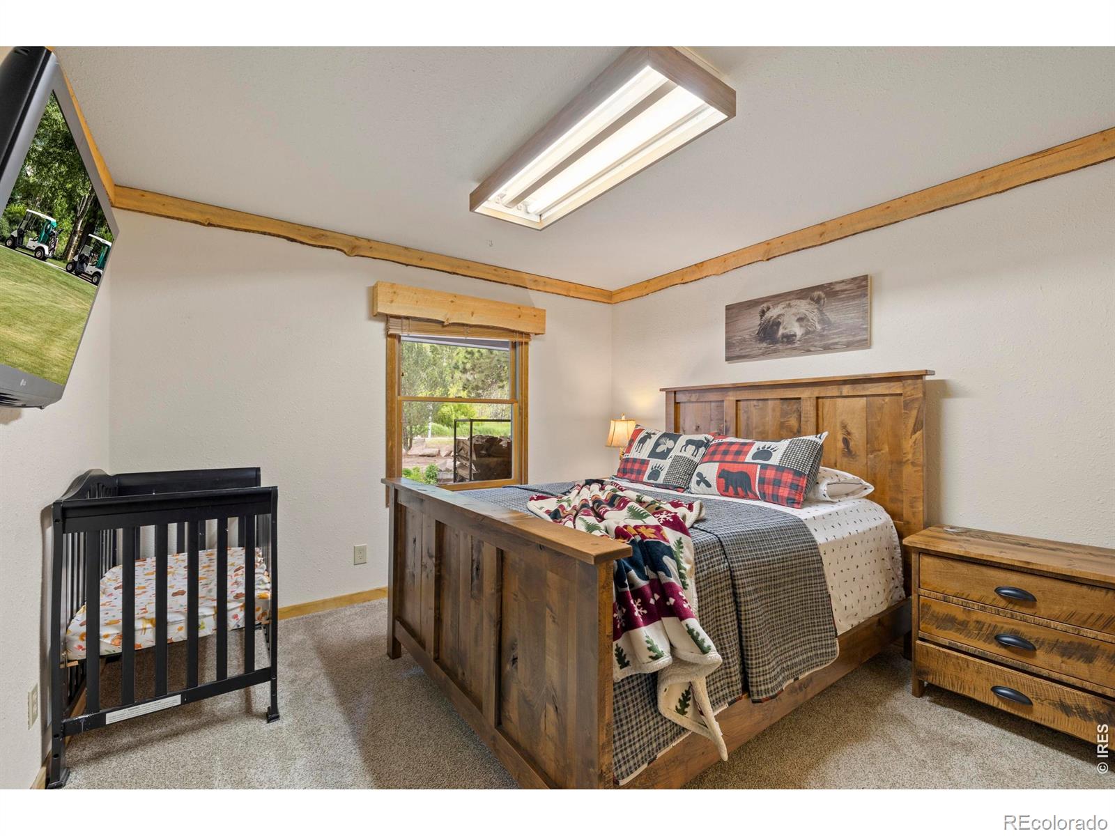 MLS Image #23 for 428  rustic road,bellvue, Colorado