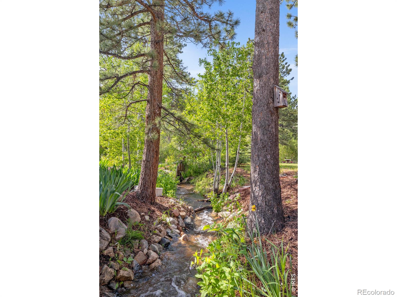 MLS Image #35 for 428  rustic road,bellvue, Colorado