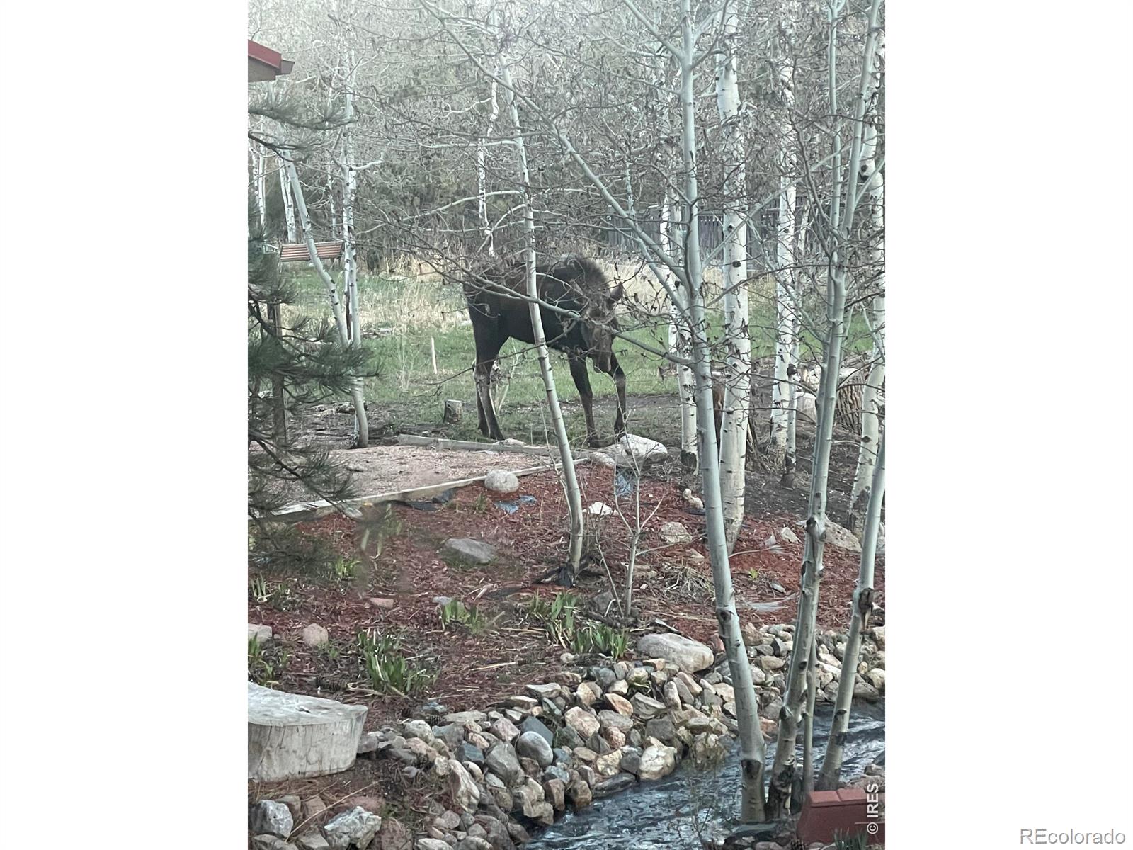 MLS Image #40 for 428  rustic road,bellvue, Colorado