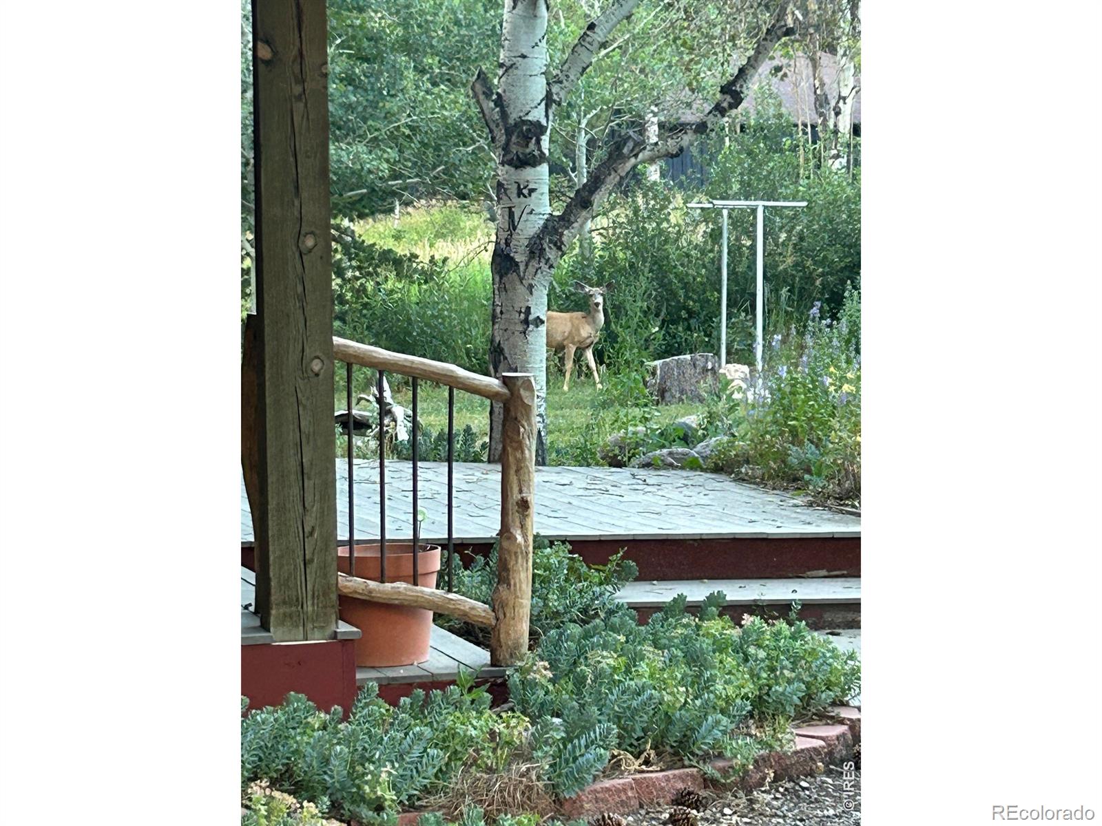 MLS Image #41 for 428  rustic road,bellvue, Colorado