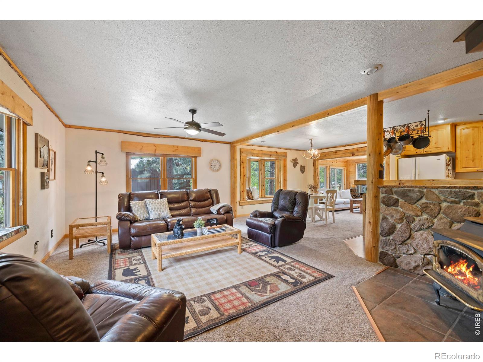 MLS Image #5 for 428  rustic road,bellvue, Colorado
