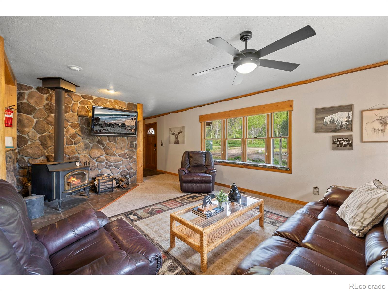 MLS Image #6 for 428  rustic road,bellvue, Colorado