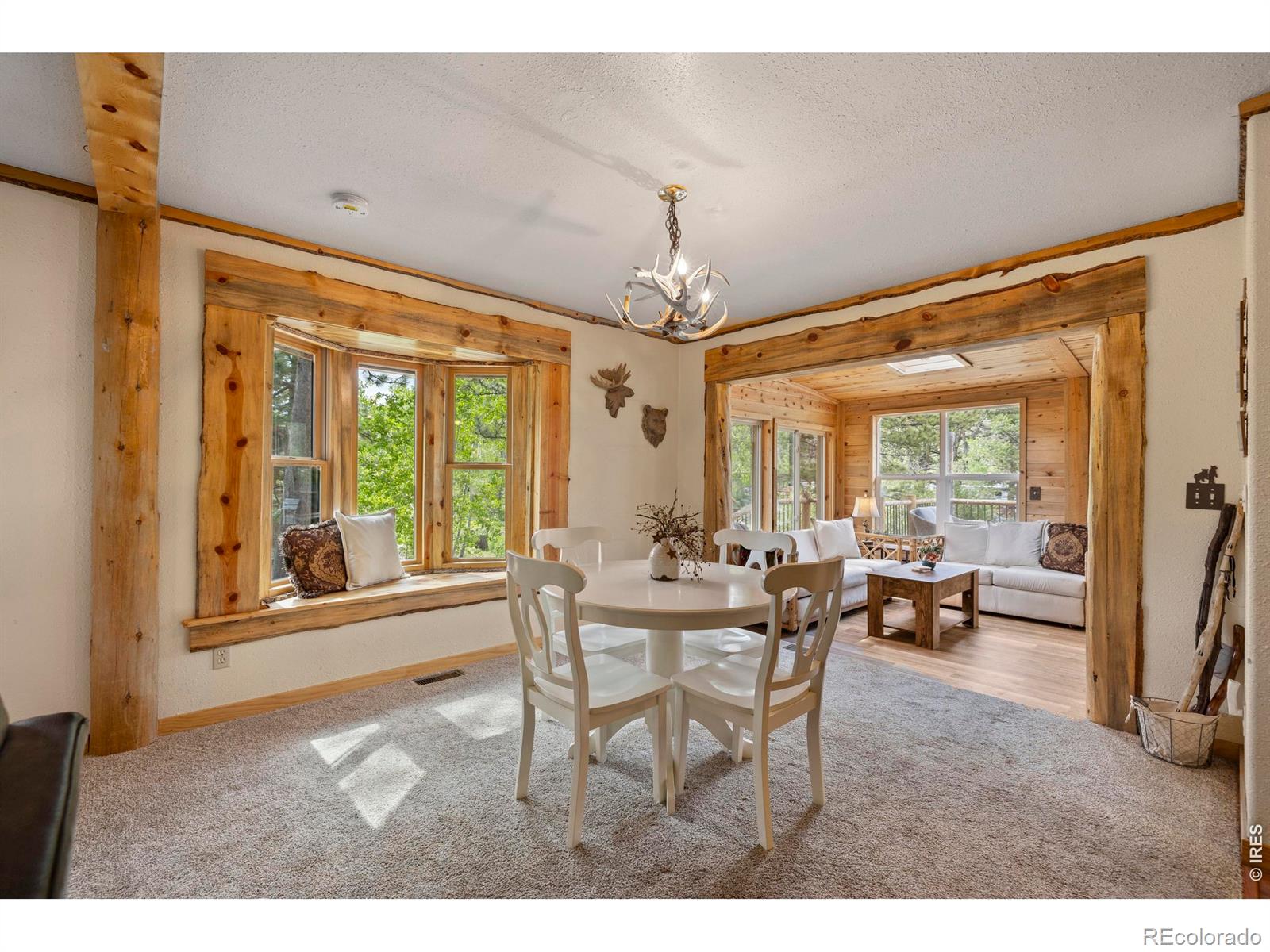 MLS Image #9 for 428  rustic road,bellvue, Colorado