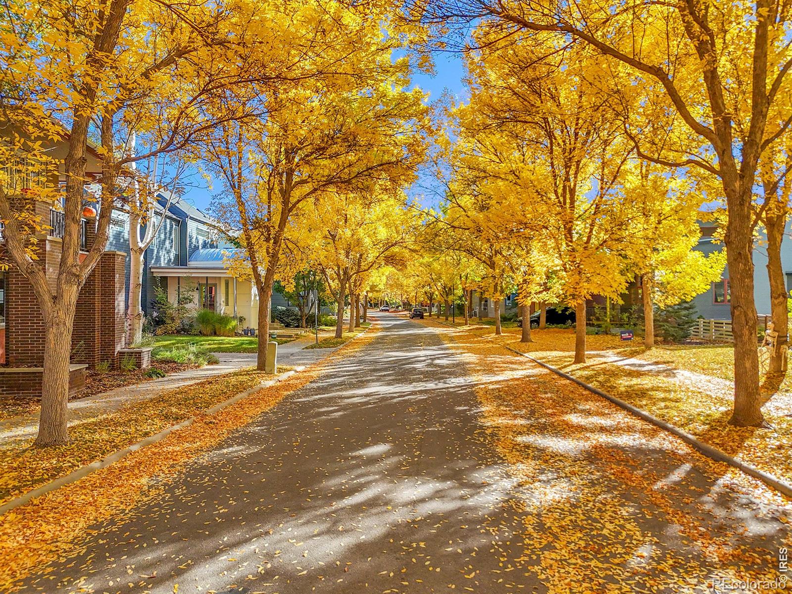 MLS Image #37 for 821  incorrigible circle,longmont, Colorado