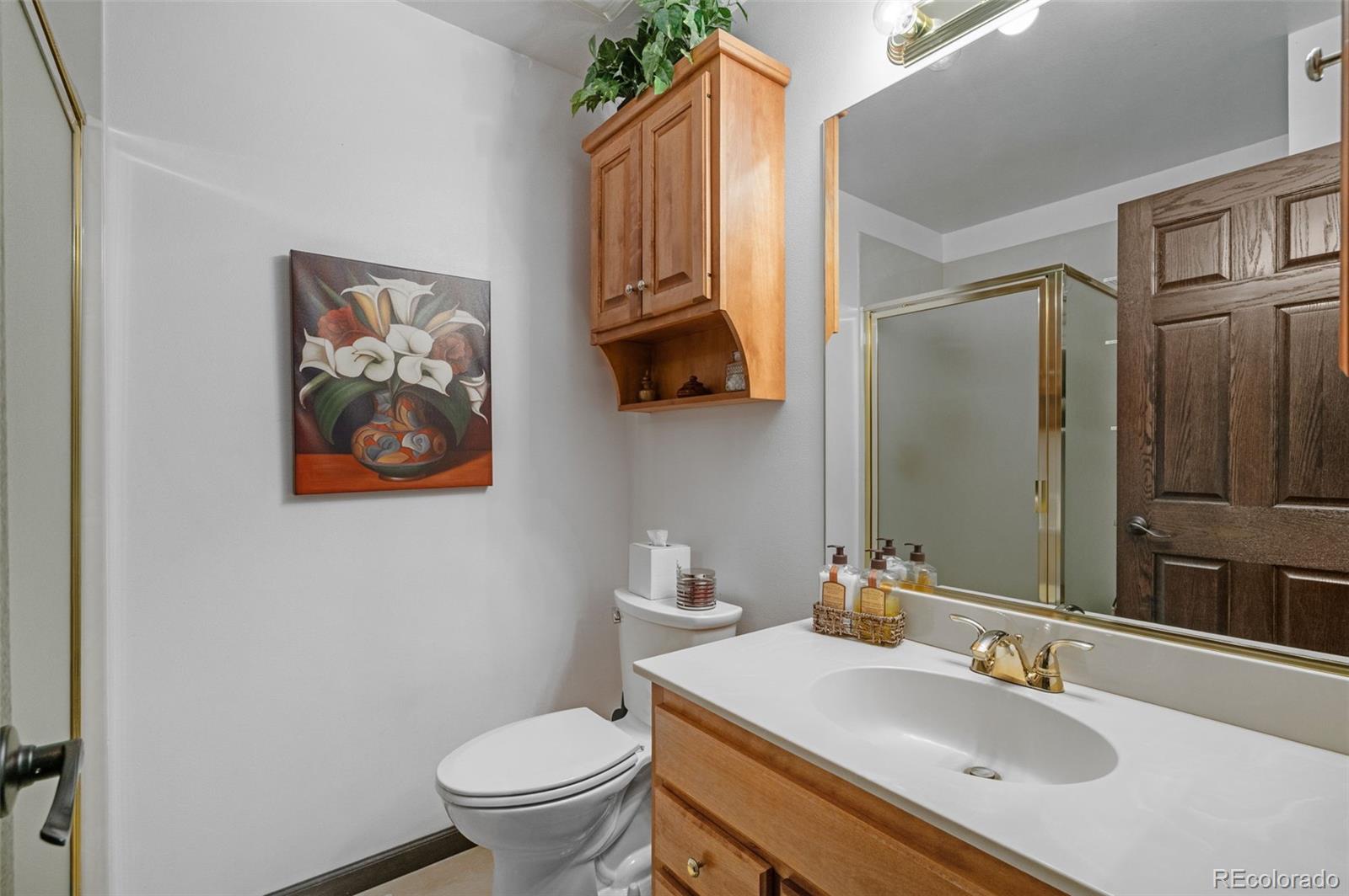 MLS Image #22 for 847  pinewicket way,parker, Colorado