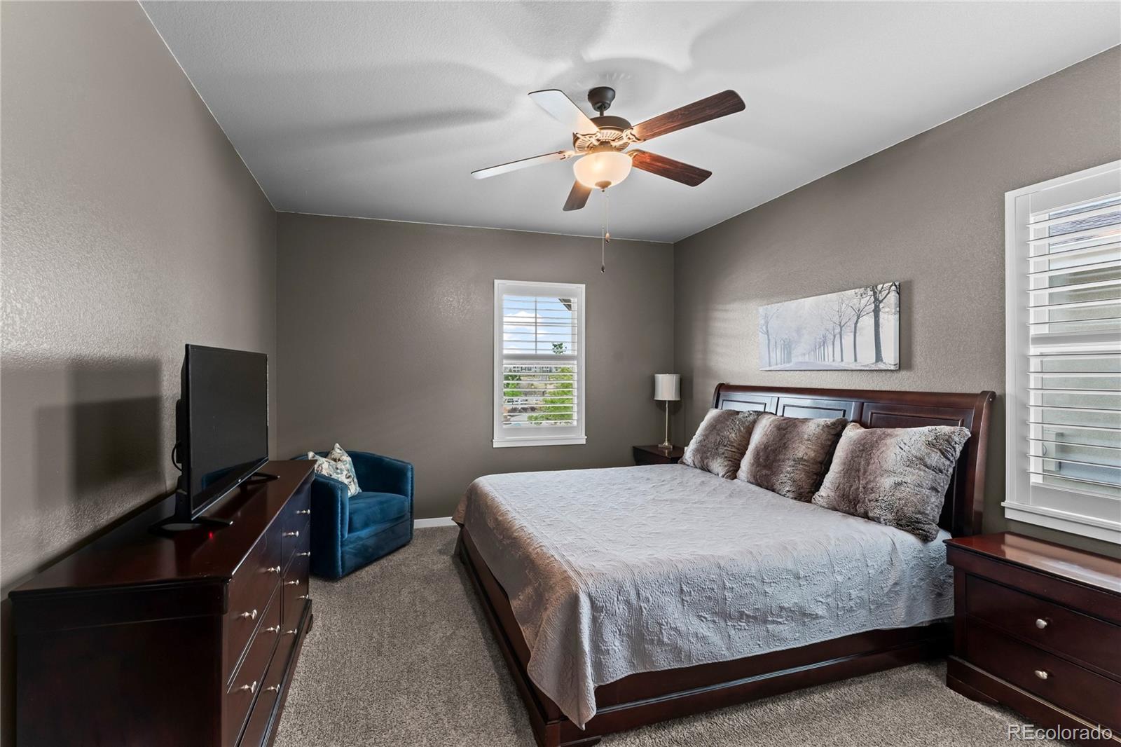 MLS Image #5 for 1168  foothills farm way,colorado springs, Colorado