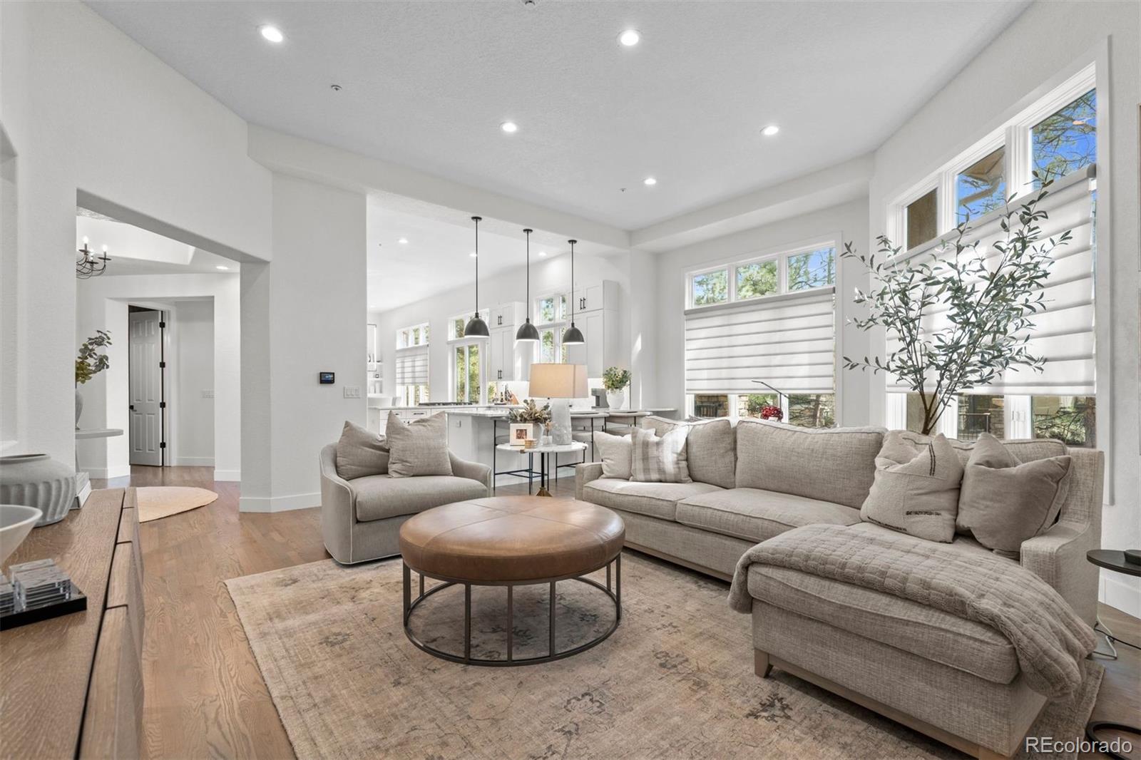 MLS Image #5 for 4517  silver cliff court,castle rock, Colorado