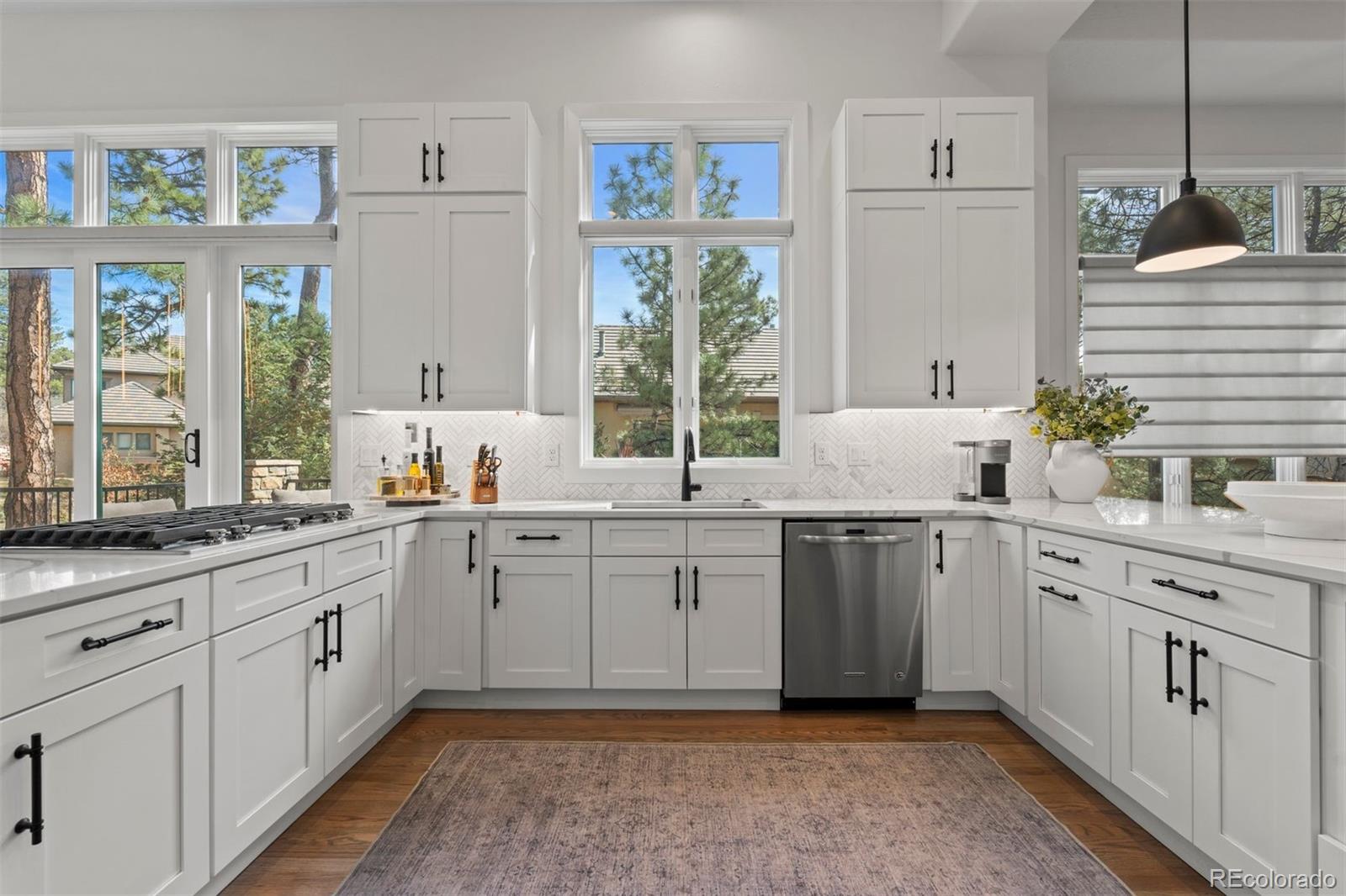 MLS Image #7 for 4517  silver cliff court,castle rock, Colorado